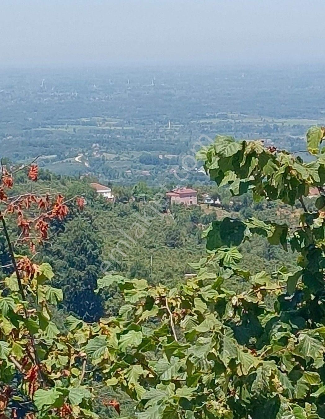 Samsun Terme De Satılık Arsa