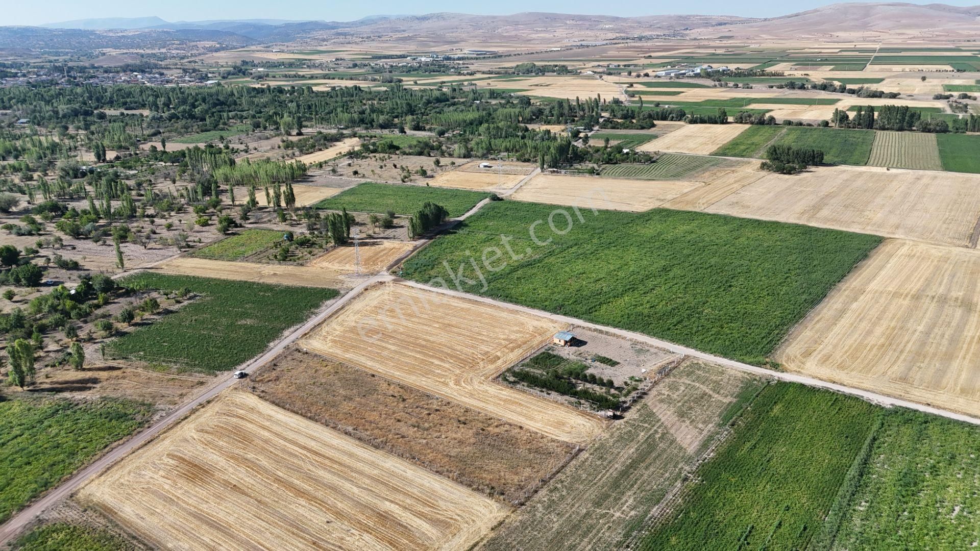 Konya / Meram / Hatunsaray Mahallesinde 3.185 M² Müstakil Tapulu Tarla - Görsel 24