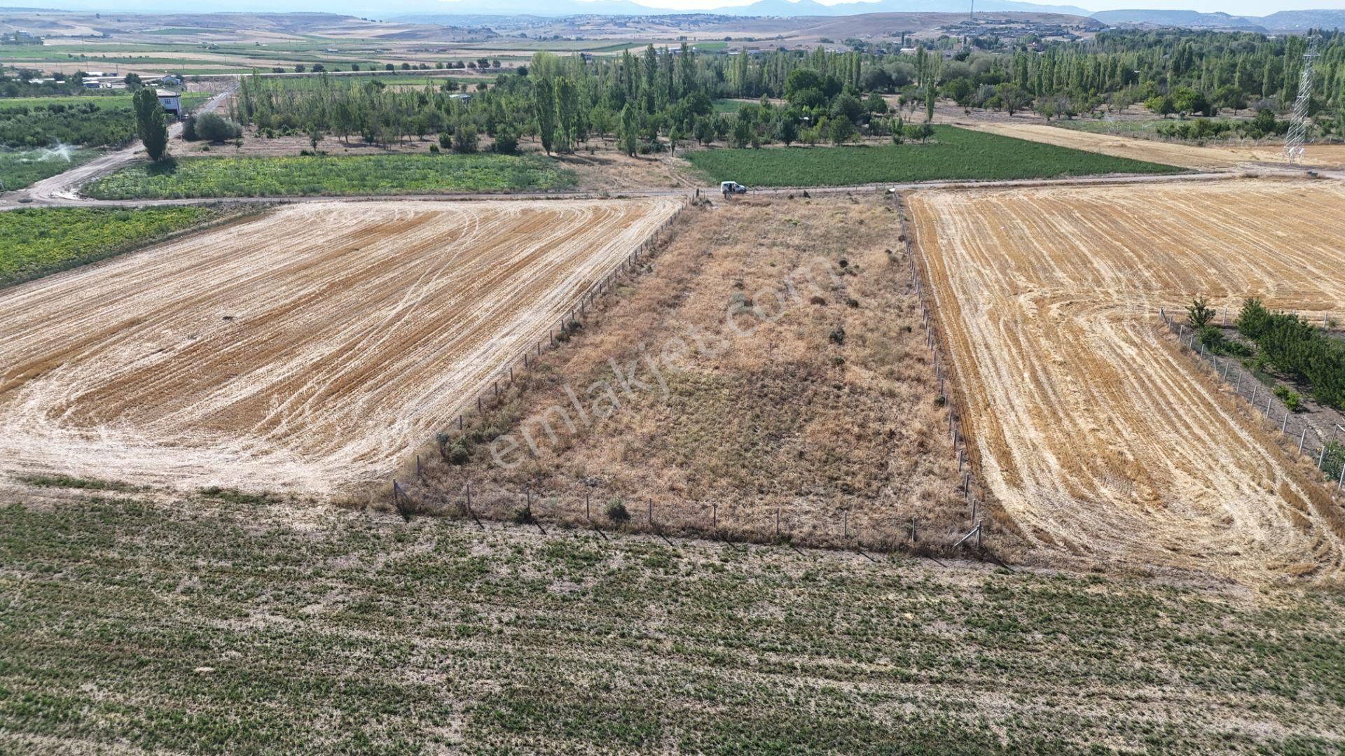 Konya / Meram / Hatunsaray Mahallesinde 3.185 M² Müstakil Tapulu Tarla - Görsel 10