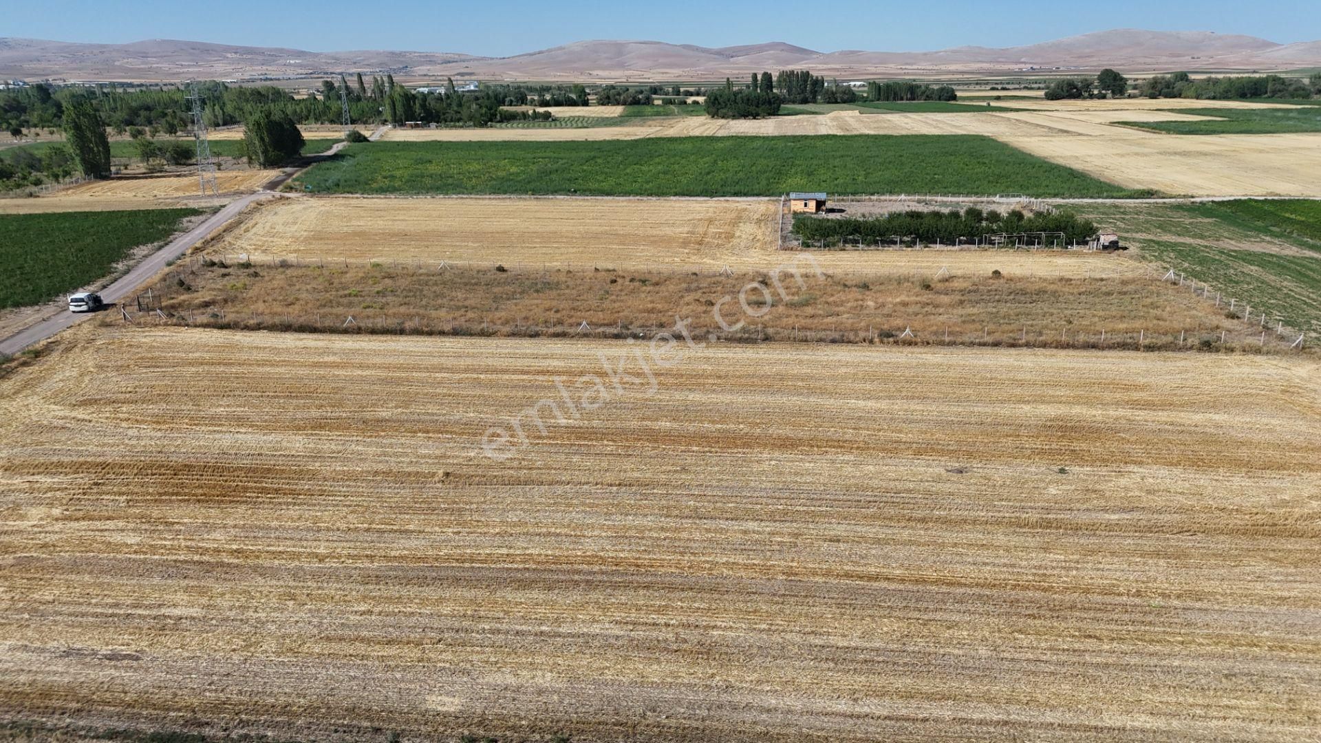 Konya / Meram / Hatunsaray Mahallesinde 3.185 M² Müstakil Tapulu Tarla - Görsel 14