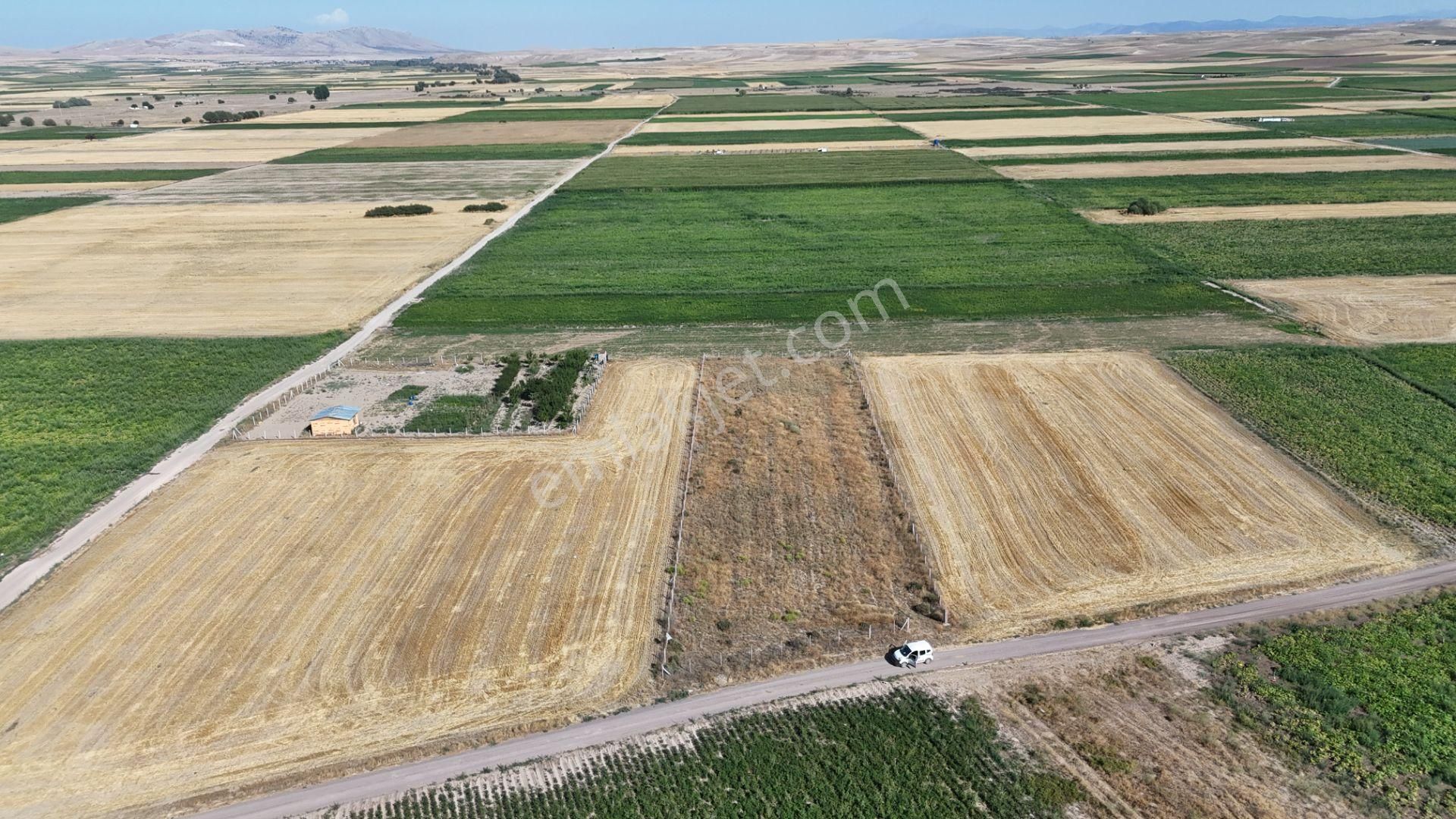 Konya / Meram / Hatunsaray Mahallesinde 3.185 M² Müstakil Tapulu Tarla - Görsel 16