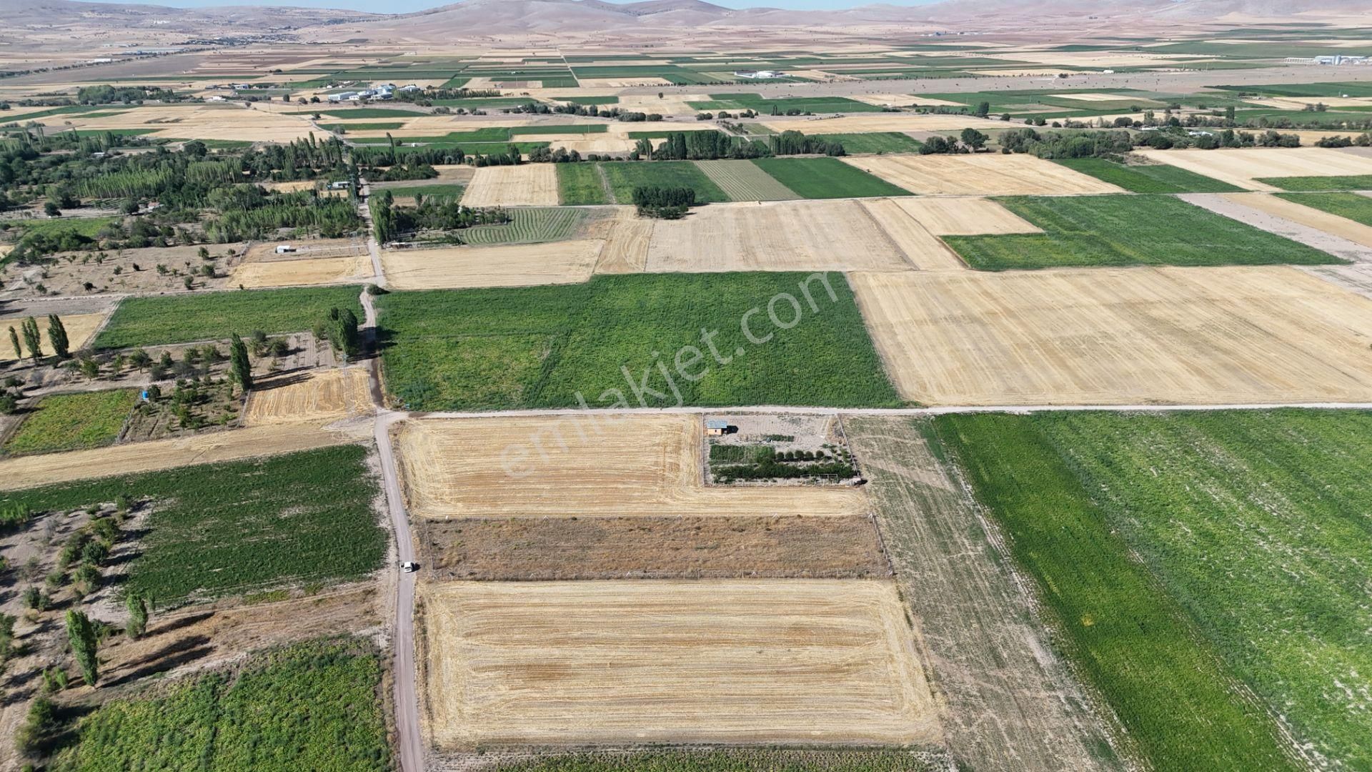 Konya / Meram / Hatunsaray Mahallesinde 3.185 M² Müstakil Tapulu Tarla - Görsel 27
