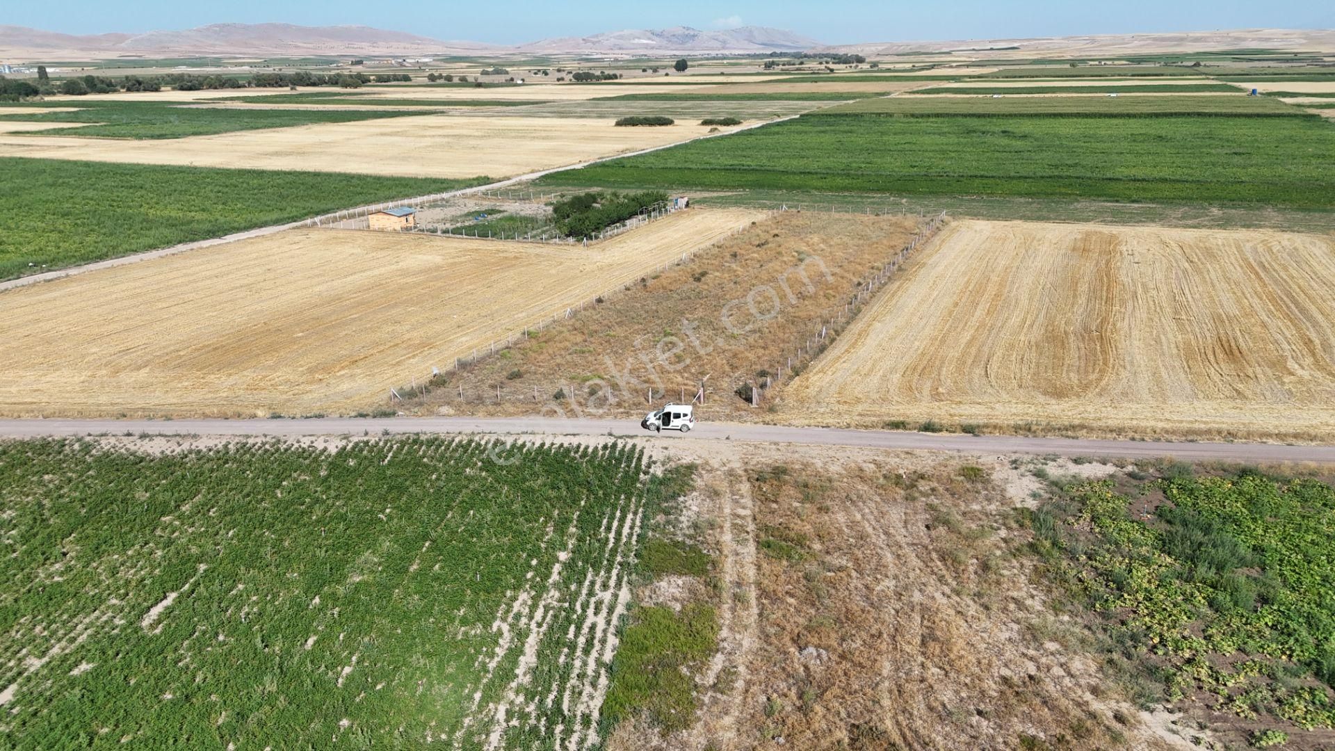 Konya / Meram / Hatunsaray Mahallesinde 3.185 M² Müstakil Tapulu Tarla - Görsel 32