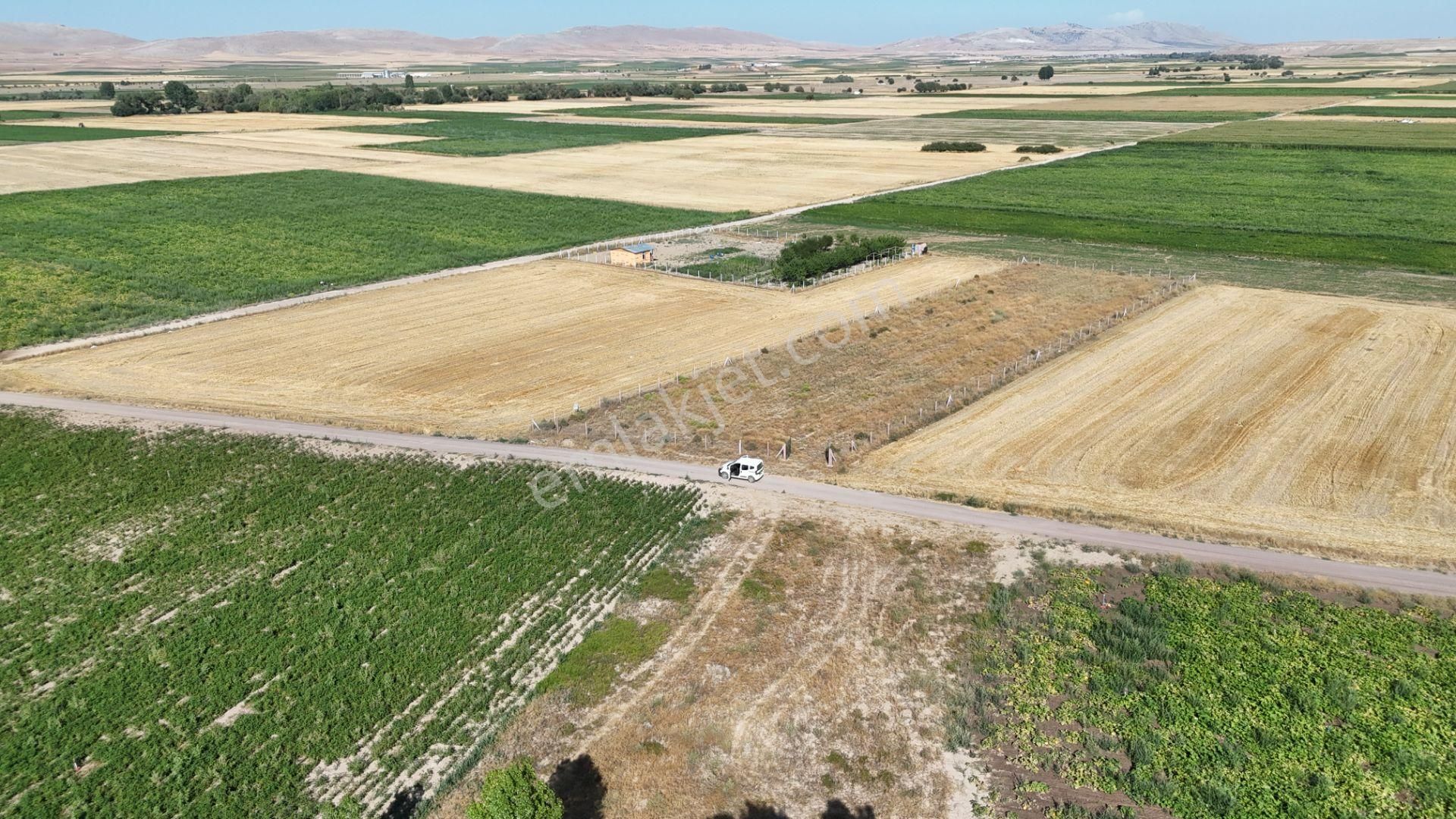 Konya / Meram / Hatunsaray Mahallesinde 3.185 M² Müstakil Tapulu Tarla - Görsel 31