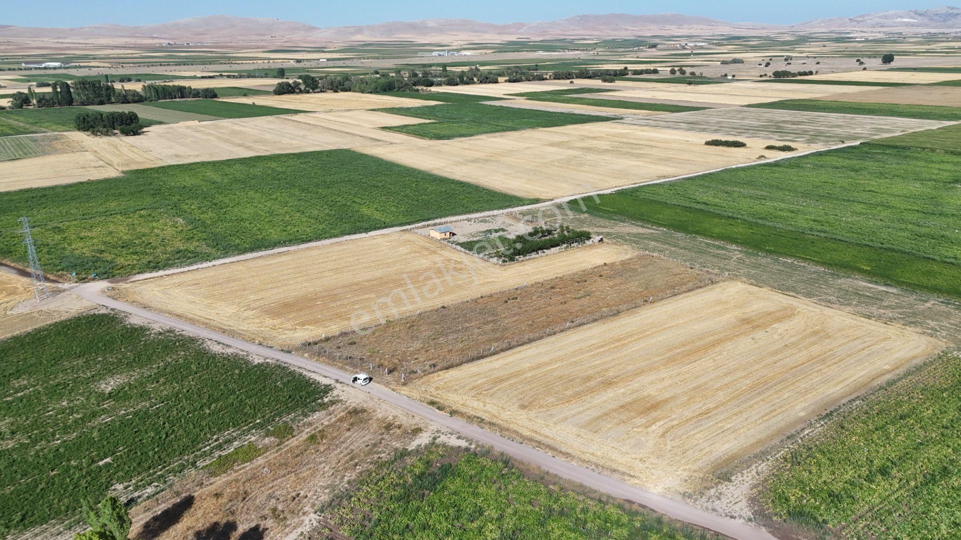 Konya / Meram / Hatunsaray Mahallesinde 3.185 M² Müstakil Tapulu Tarla - Görsel 30