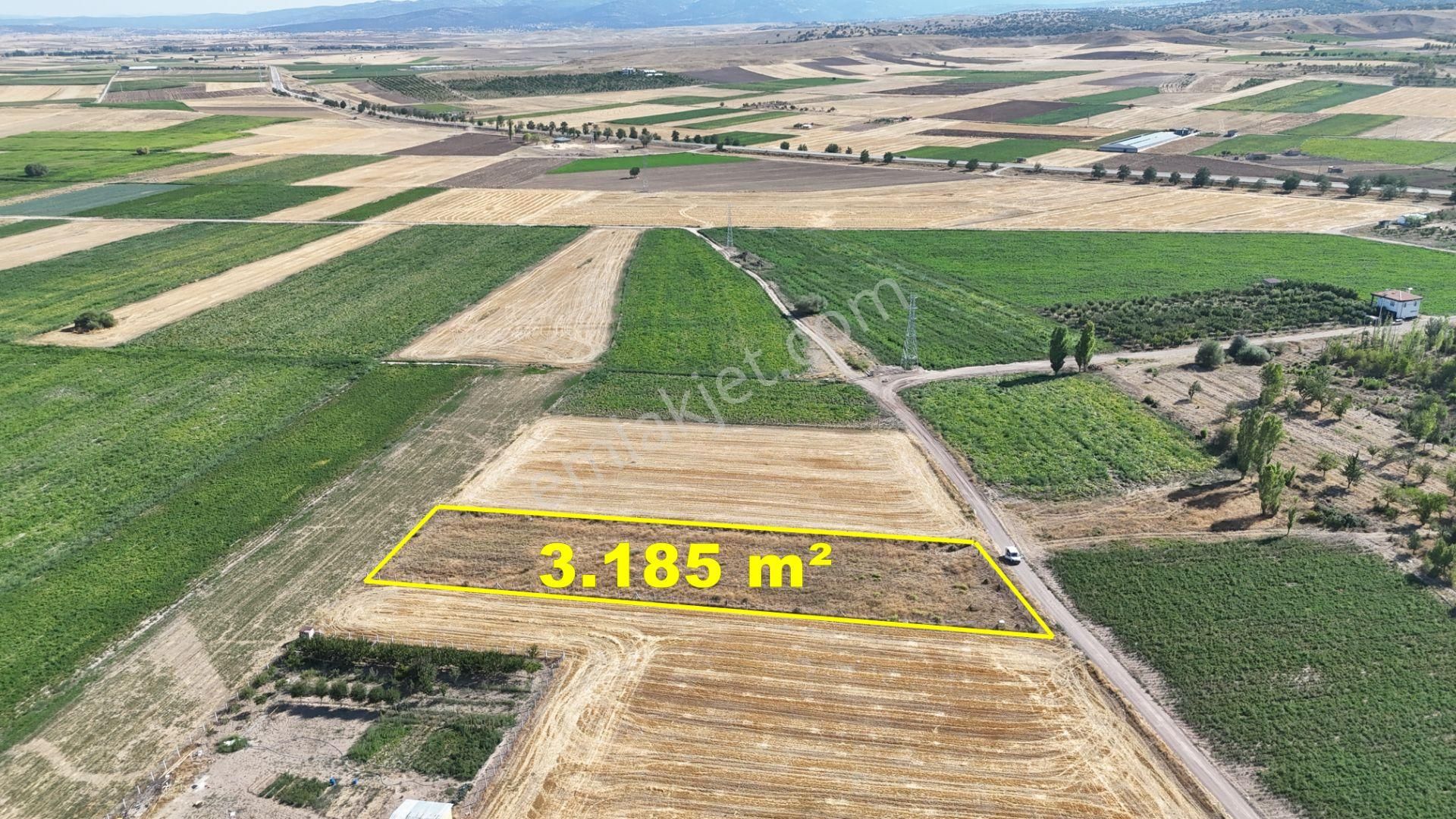 Konya / Meram / Hatunsaray Mahallesinde 3.185 M² Müstakil Tapulu Tarla - Görsel 4