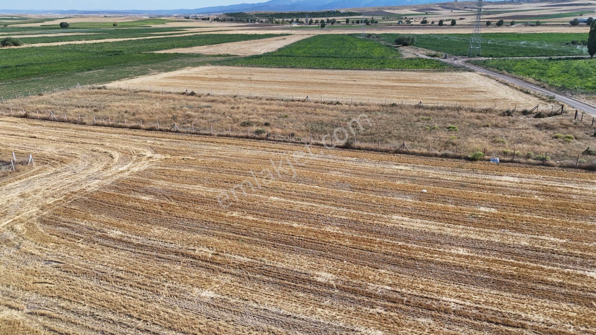 Konya / Meram / Hatunsaray Mahallesinde 3.185 M² Müstakil Tapulu Tarla - Görsel 8