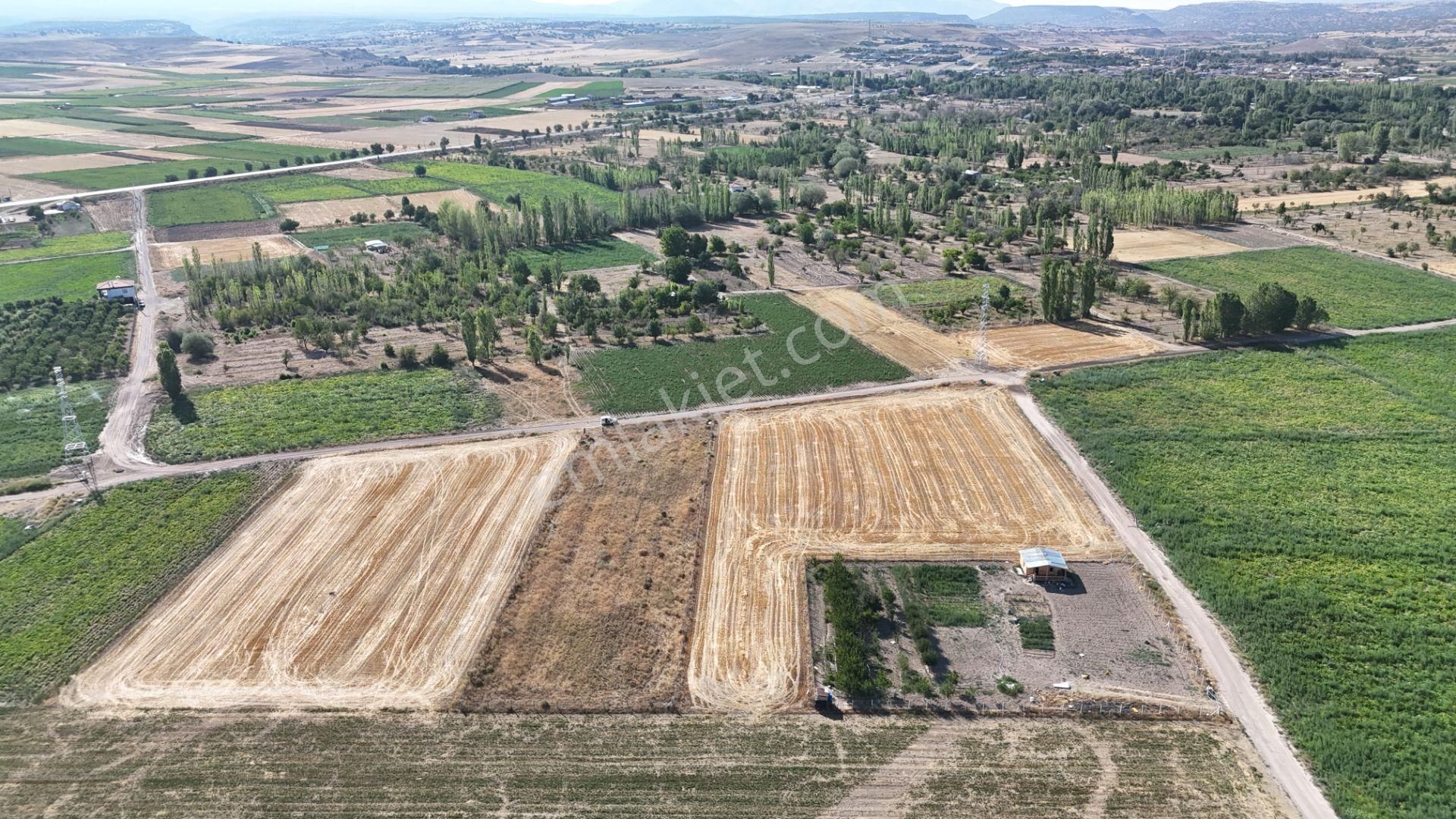 Konya / Meram / Hatunsaray Mahallesinde 3.185 M² Müstakil Tapulu Tarla - Görsel 21