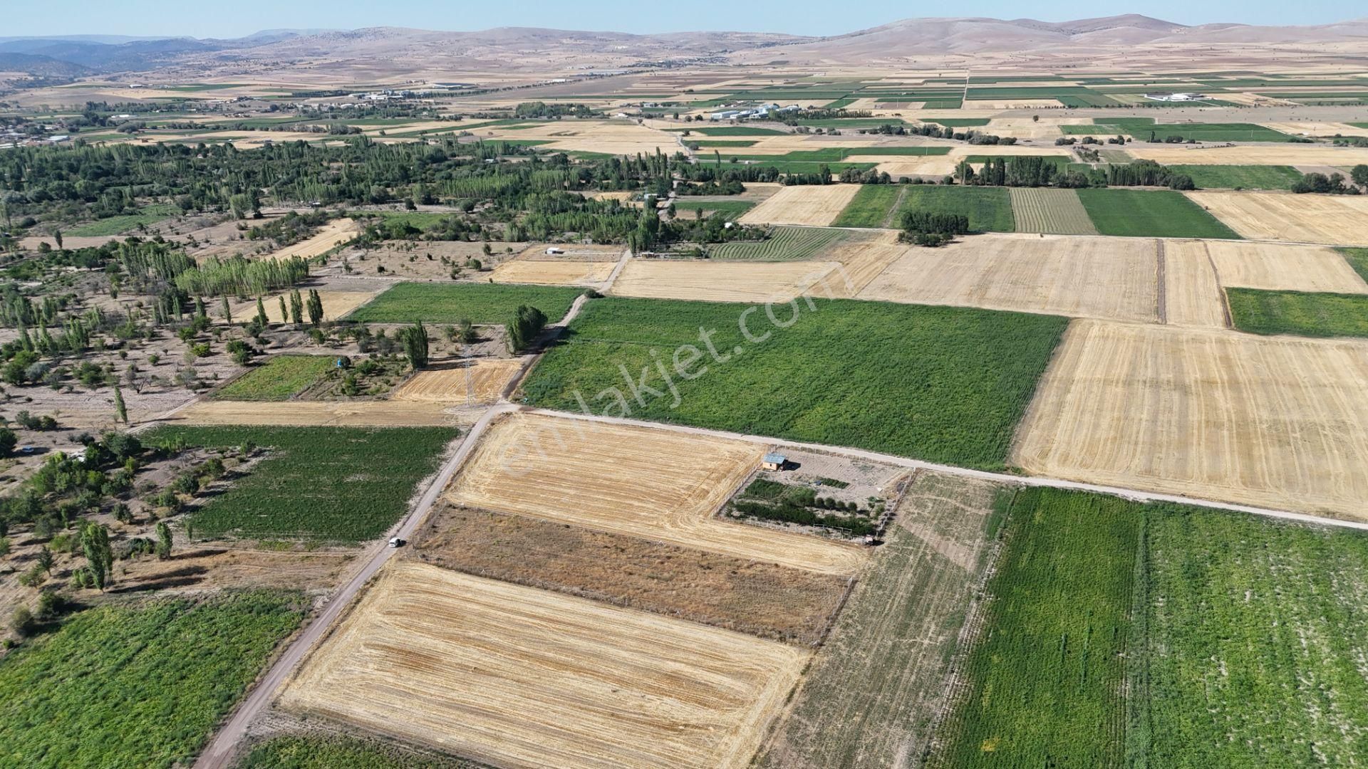 Konya / Meram / Hatunsaray Mahallesinde 3.185 M² Müstakil Tapulu Tarla - Görsel 25