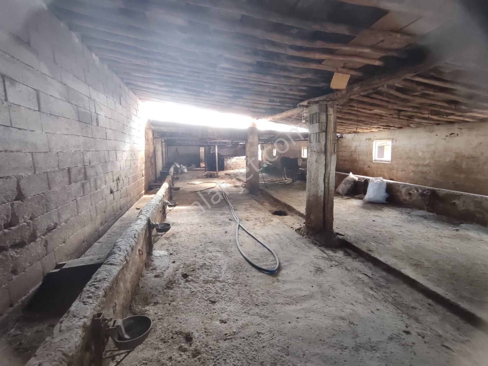 İg`den Saraçoğlu'nda 2228 M2 Arsa 4 Daire 1 Dükkan Besi Çiftliği - Görsel 8