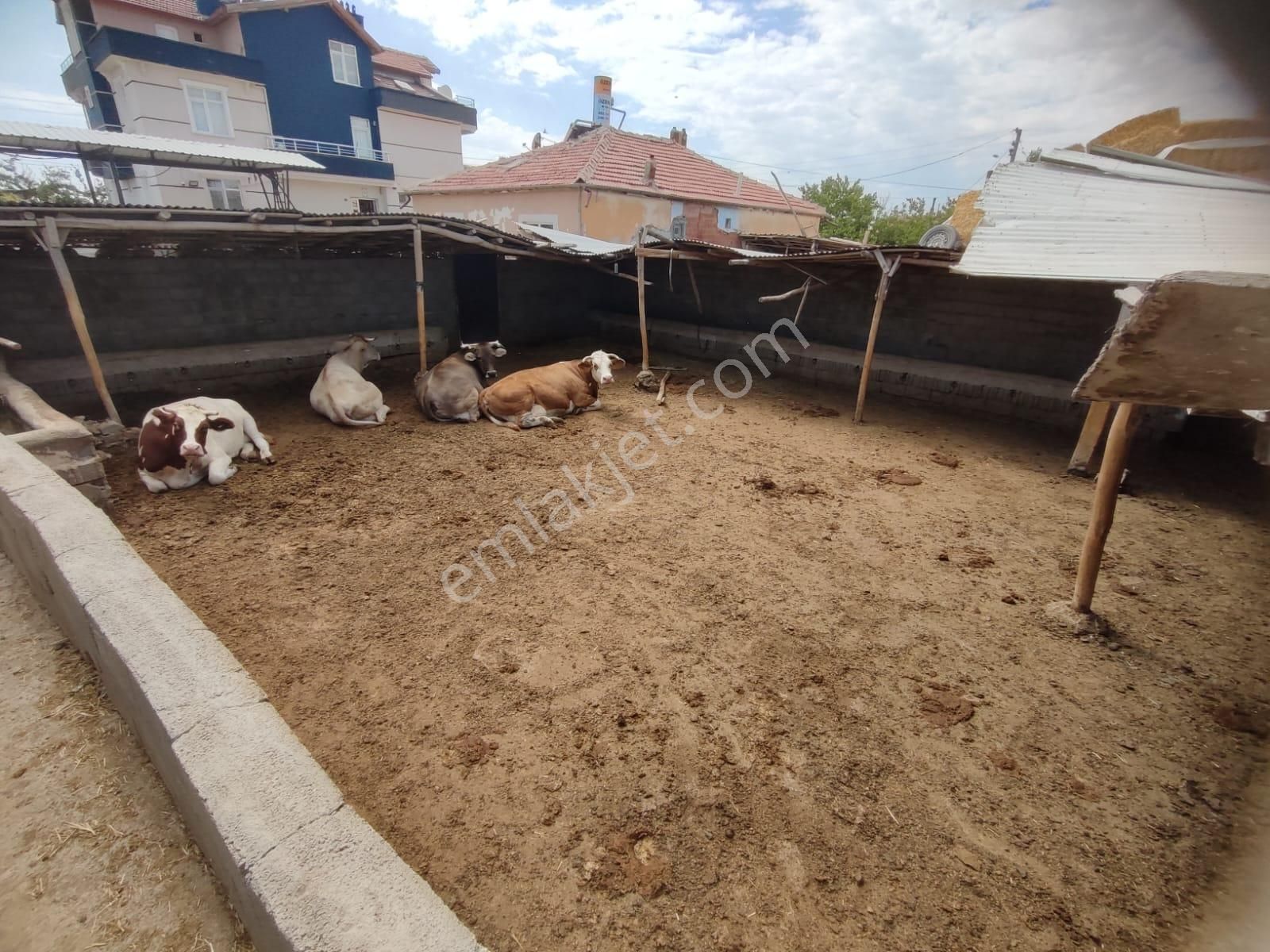 İg`den Saraçoğlu'nda 2228 M2 Arsa 4 Daire 1 Dükkan Besi Çiftliği - Görsel 32