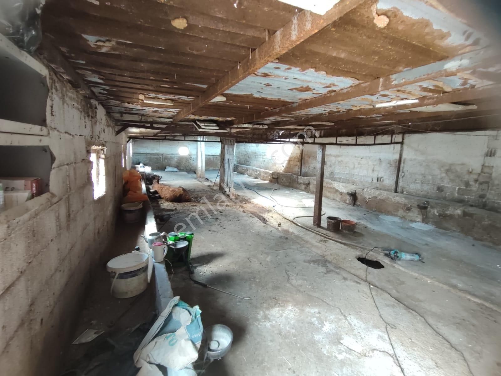 İg`den Saraçoğlu'nda 2228 M2 Arsa 4 Daire 1 Dükkan Besi Çiftliği - Görsel 9