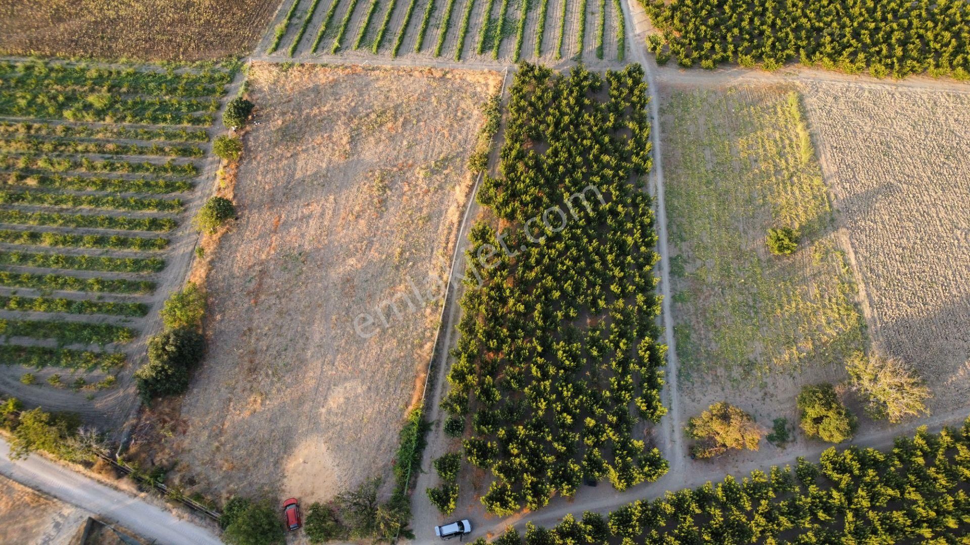 Musaköy'de 3078 M2 Deniz Tarafında Şeftali Tarlası Han Emlaktan - Görsel 22