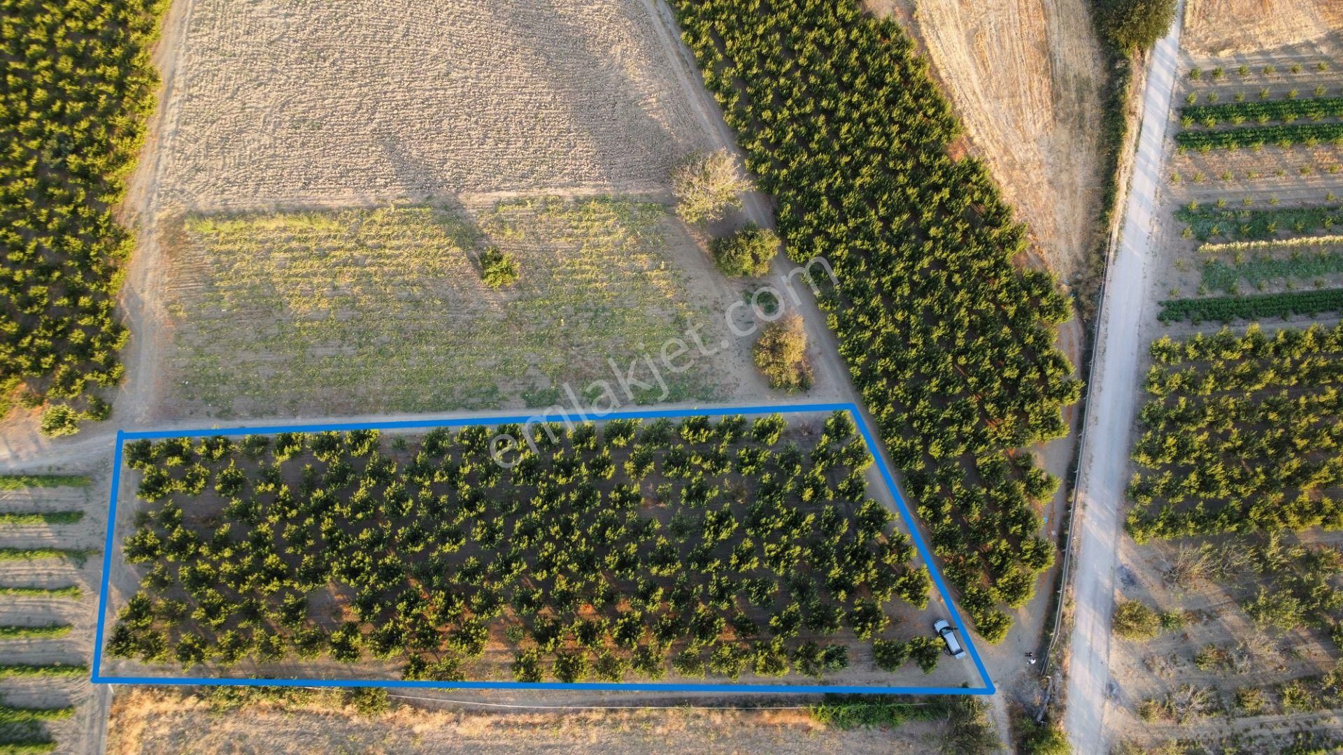Musaköy'de 3078 M2 Deniz Tarafında Şeftali Tarlası Han Emlaktan - Görsel 3