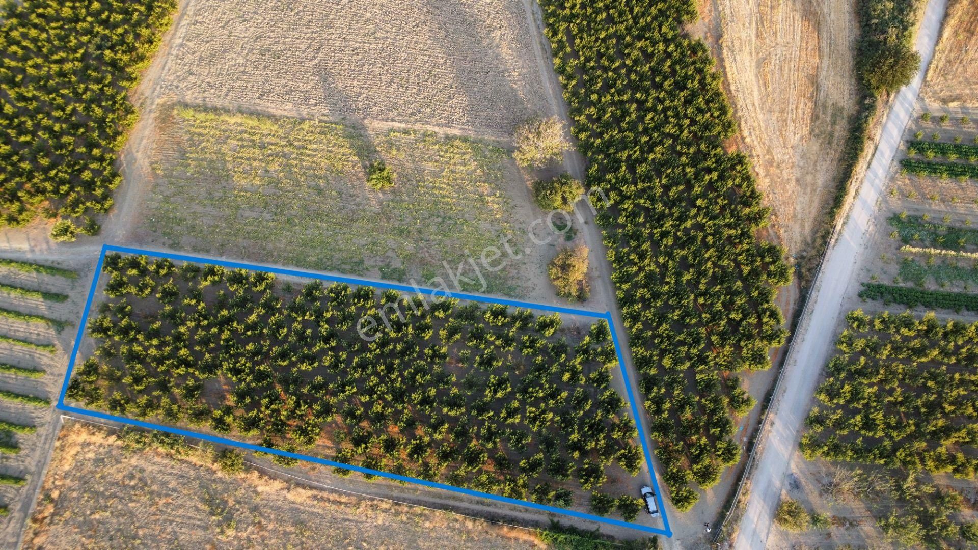 Musaköy'de 3078 M2 Deniz Tarafında Şeftali Tarlası Han Emlaktan