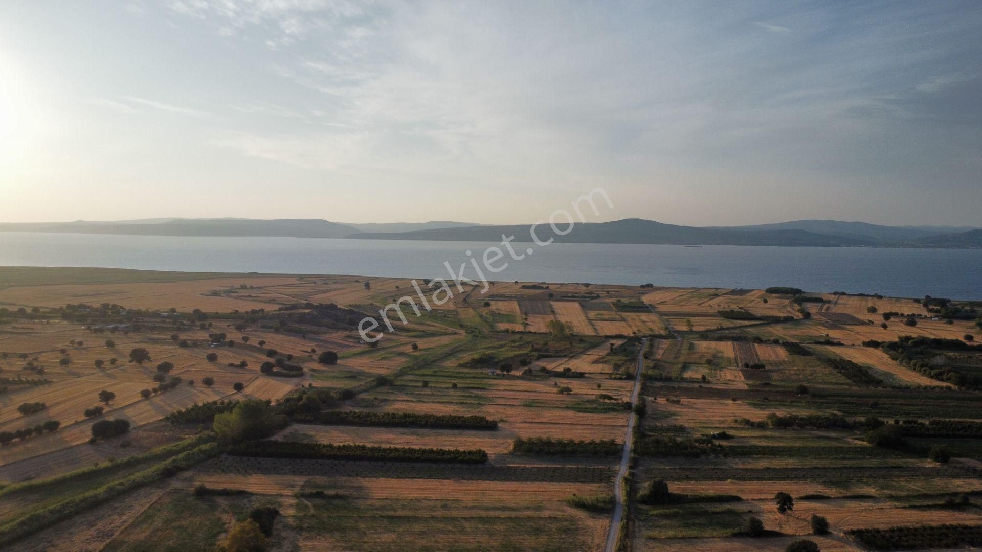 Musaköy'de 3078 M2 Deniz Tarafında Şeftali Tarlası Han Emlaktan - Görsel 13
