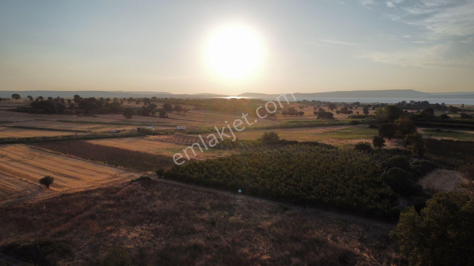 Musaköy'de 3078 M2 Deniz Tarafında Şeftali Tarlası Han Emlaktan - Görsel 31
