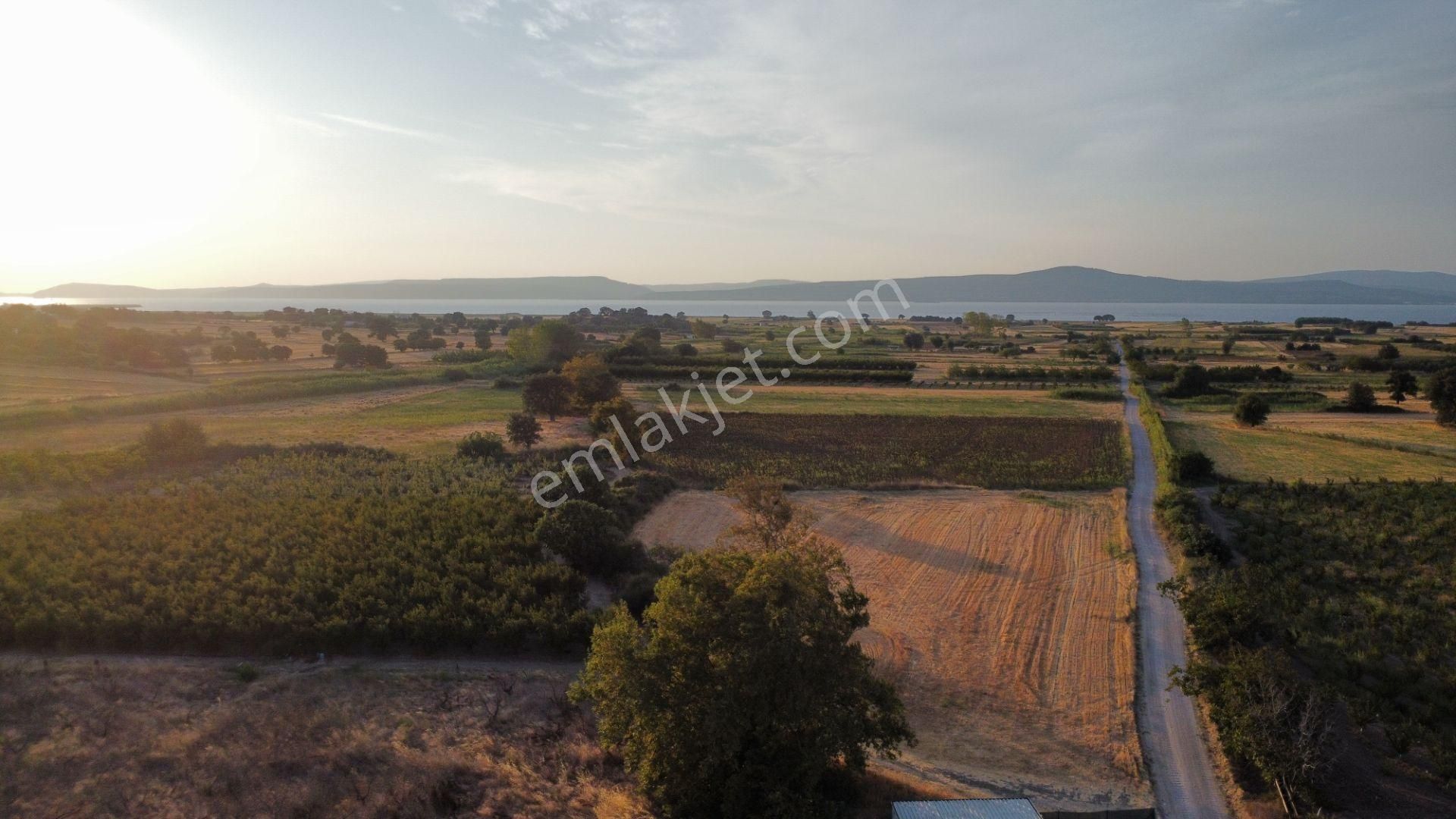 Musaköy'de 3078 M2 Deniz Tarafında Şeftali Tarlası Han Emlaktan - Görsel 32