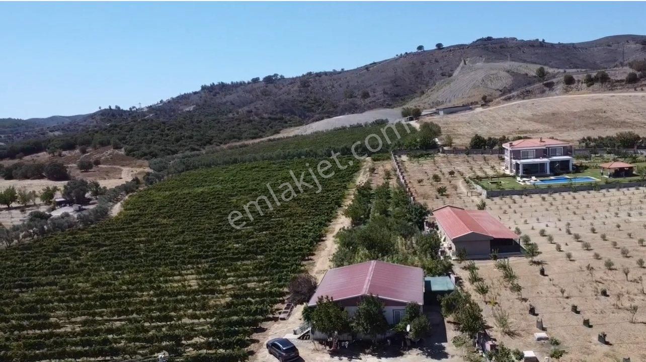 Seferihisar Yatırımlık 10 Dönüm Bağ,asfalt Yol Cepheli - Görsel 3