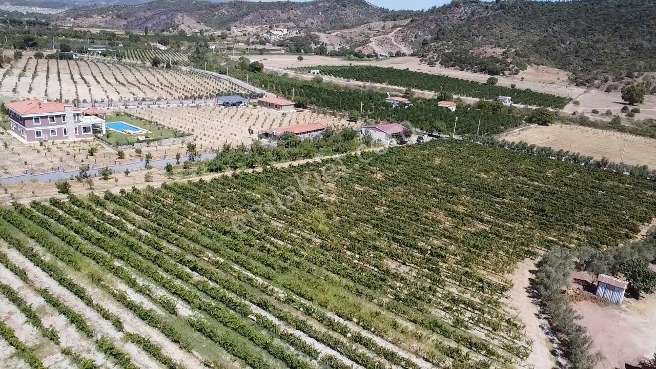 Seferihisar Yatırımlık 10 Dönüm Bağ,asfalt Yol Cepheli - Görsel 12