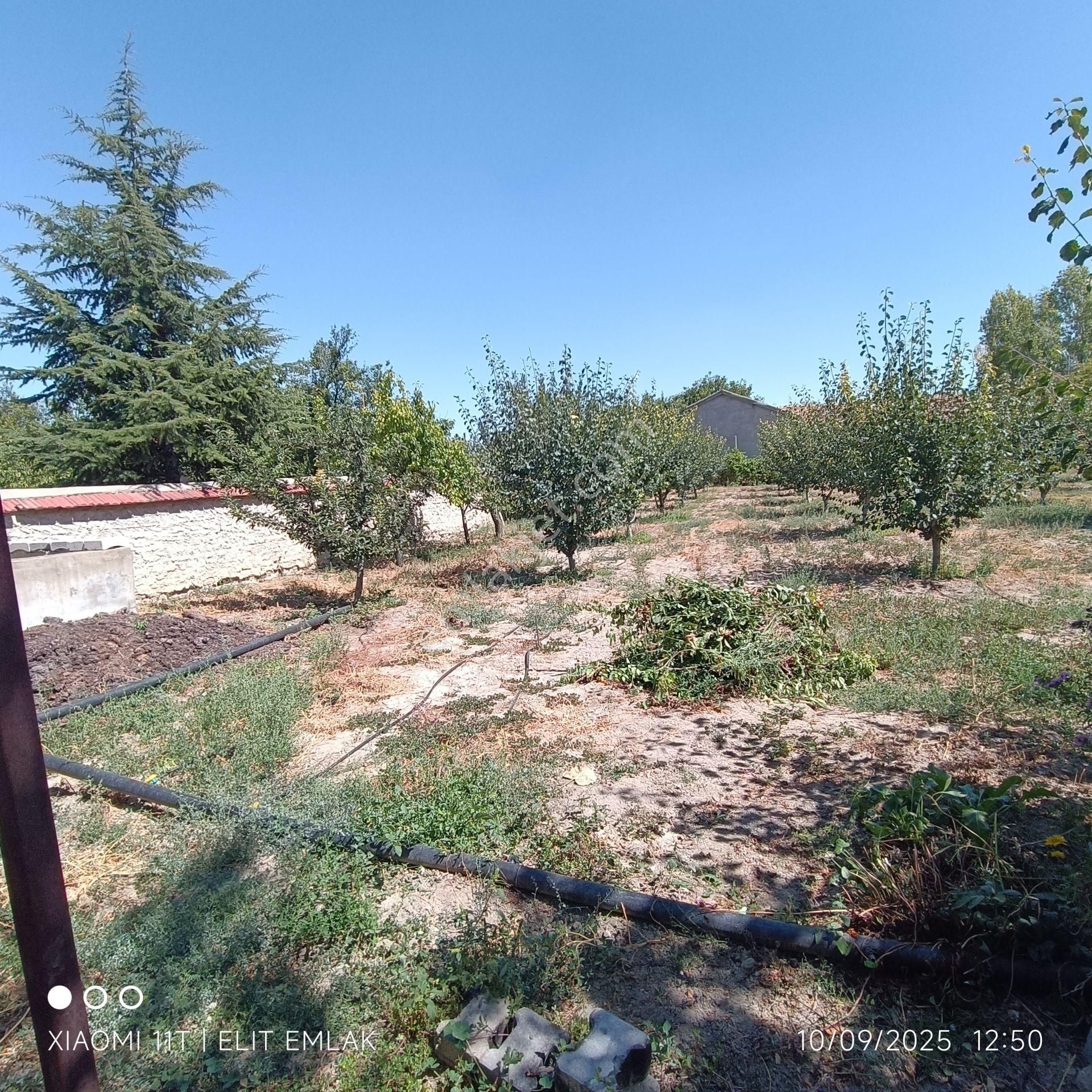 Elit Emlak Müstakil 2 Katlı Bahçeli 1,100 M2 Arsa - Görsel 2