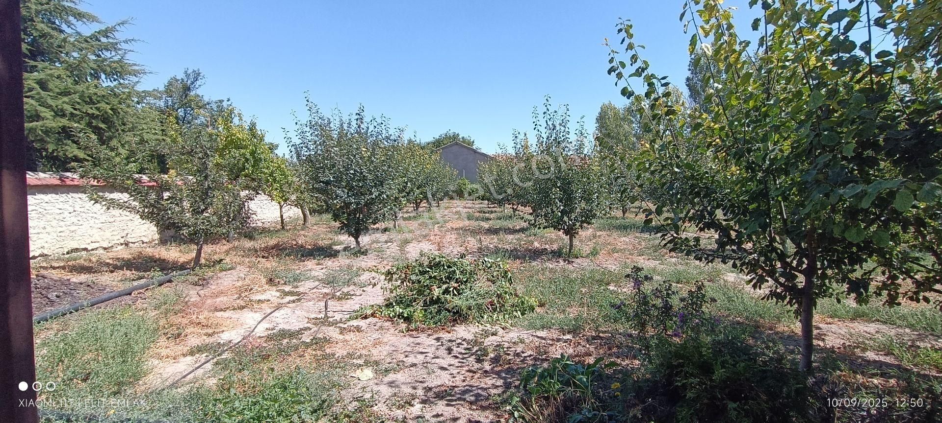 Elit Emlak Müstakil 2 Katlı Bahçeli 1,100 M2 Arsa - Görsel 3