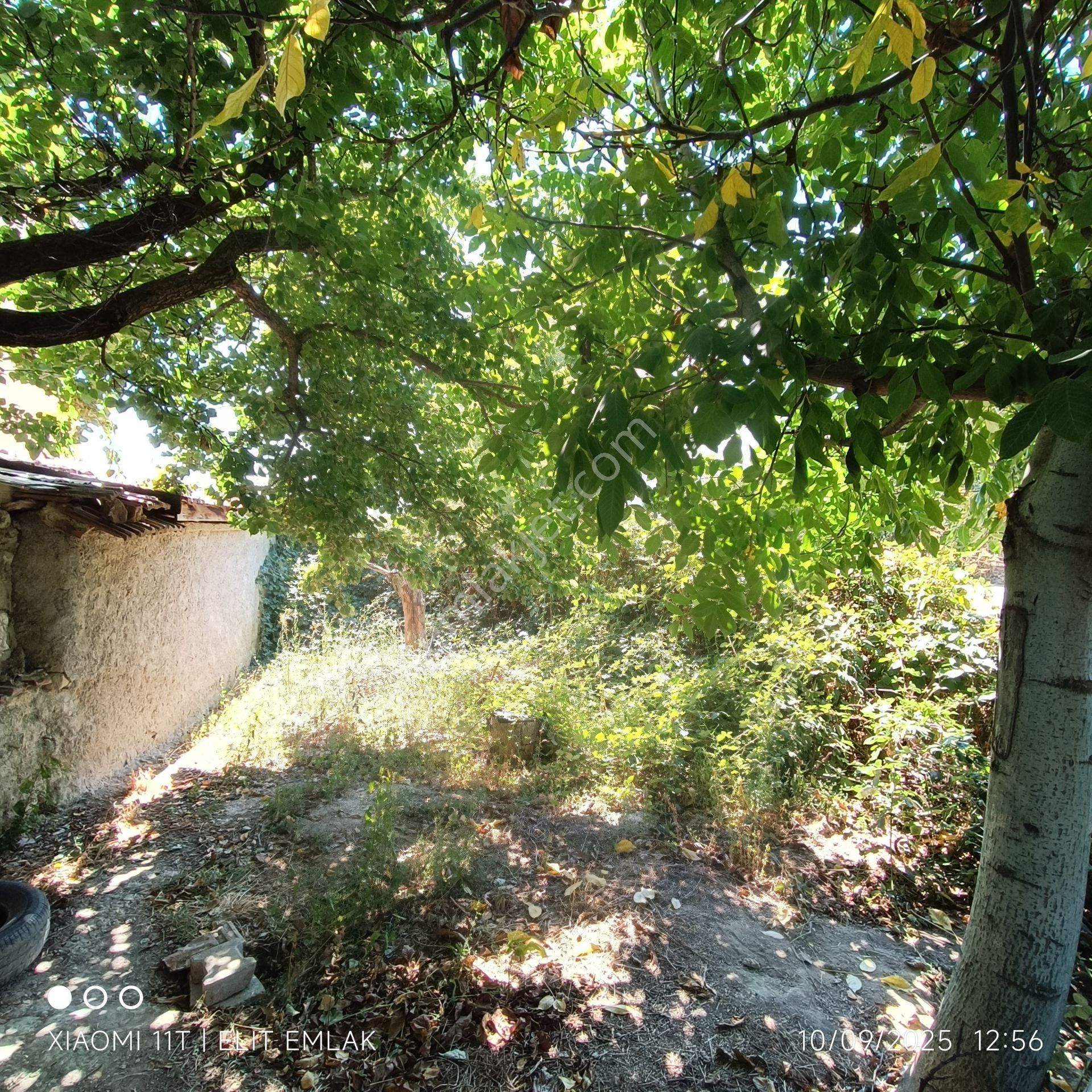 Elit Emlak Müstakil 2 Katlı Bahçeli 1,100 M2 Arsa - Görsel 14