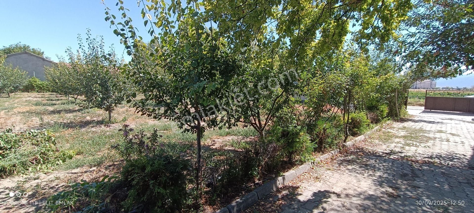 Elit Emlak Müstakil 2 Katlı Bahçeli 1,100 M2 Arsa - Görsel 4