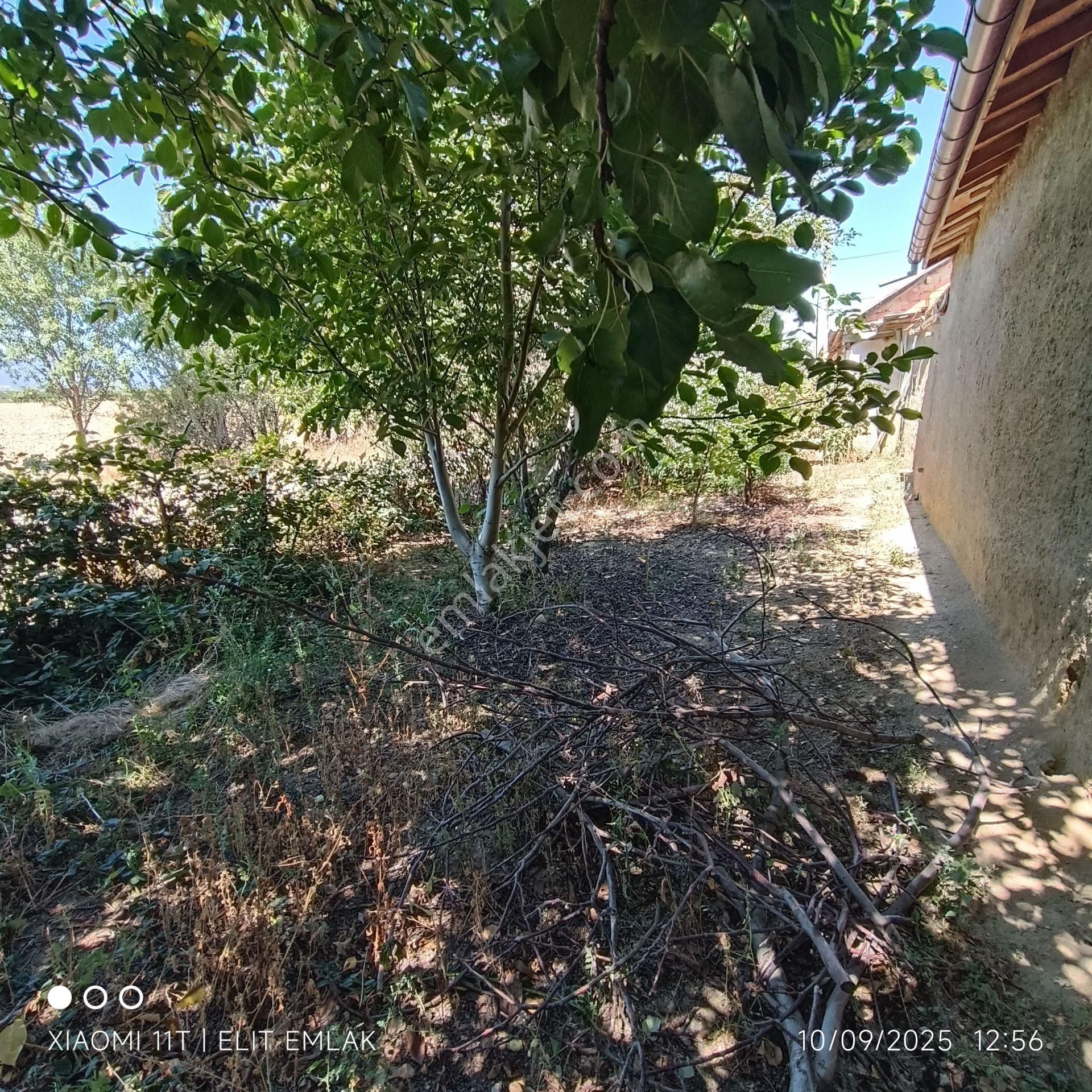 Elit Emlak Müstakil 2 Katlı Bahçeli 1,100 M2 Arsa - Görsel 13