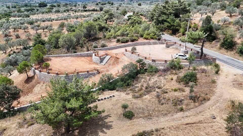Başaran Emlak'tan Kaçırılmaz Zeytin Arazisi... - Görsel 2