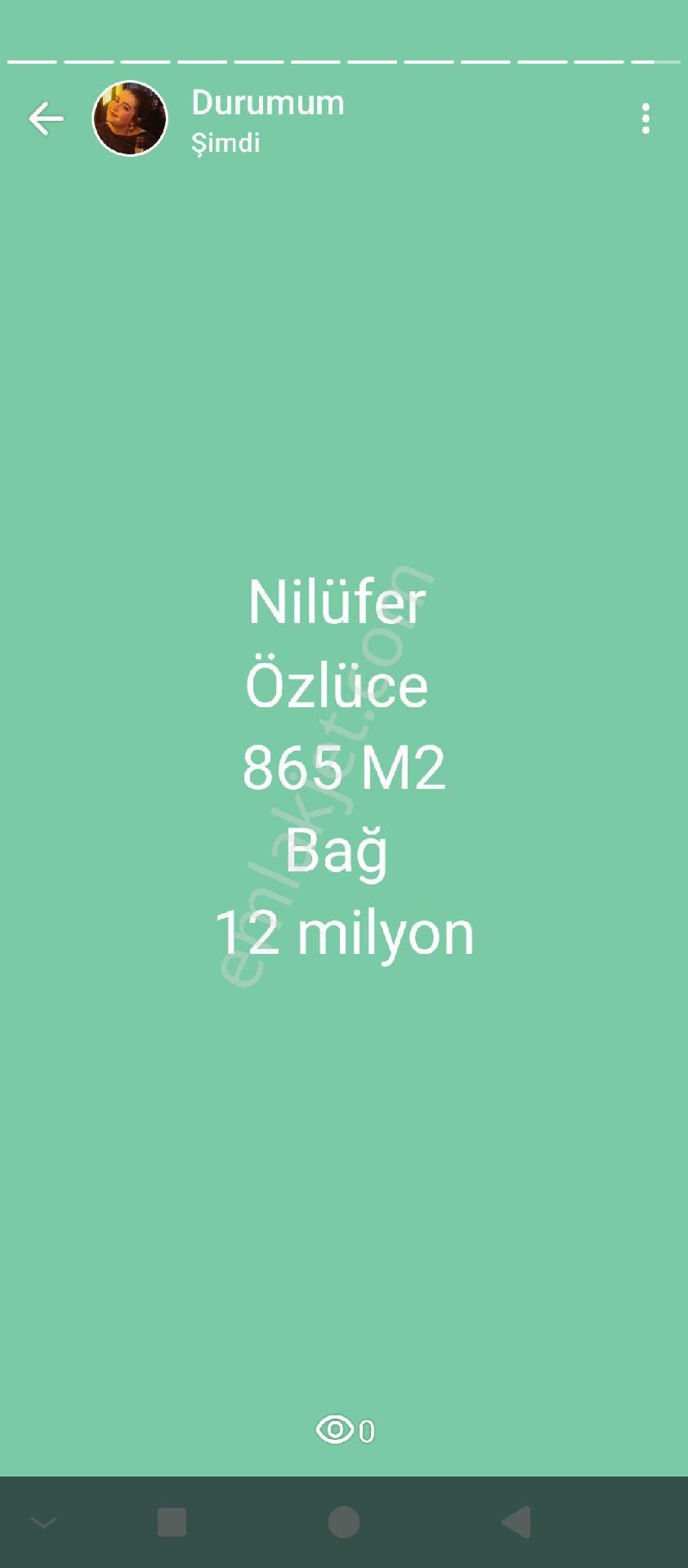 Nilüfer Özlüce Satılık Bağ