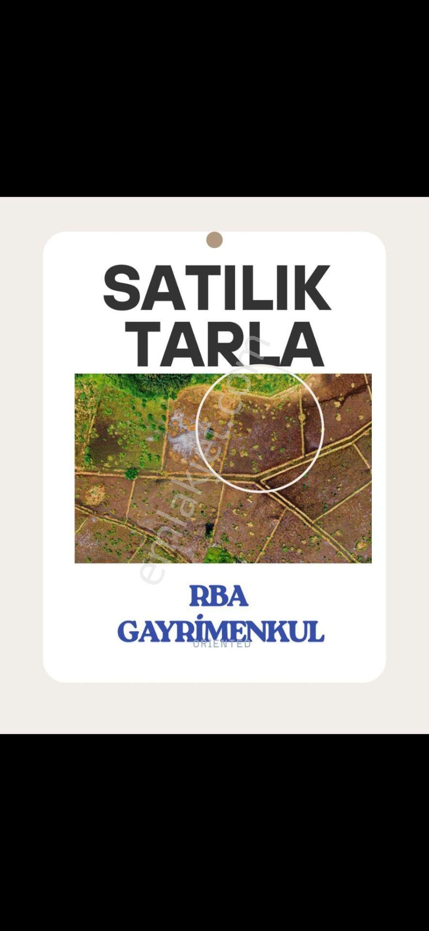 Rba Gayrimenkulden Alpu Mhalıççık Yolu Üzerinde Satılık 5500 Dekar Tarla