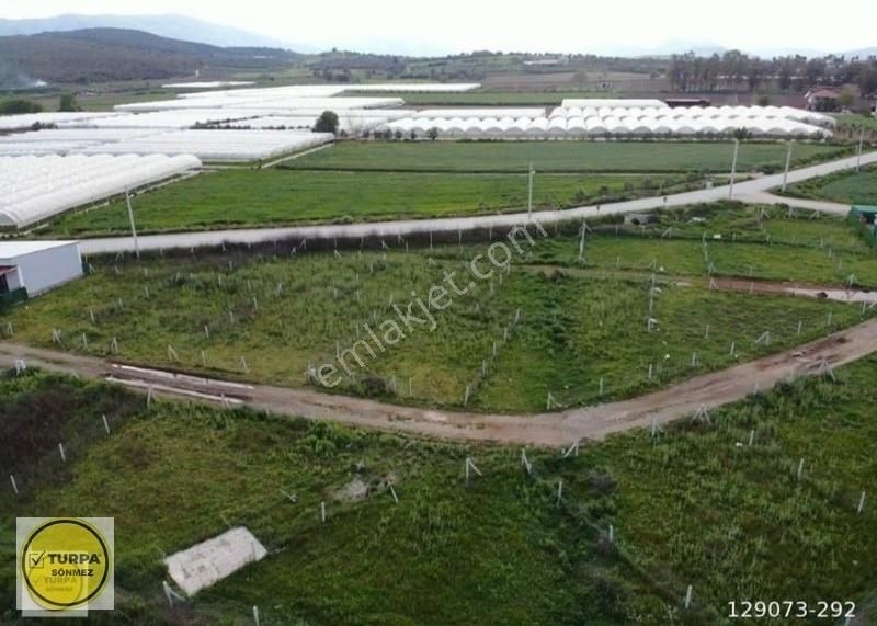 Çileme; Elektrik Ve Su İçinde 195m2 Satılık Anayol Cepheli Bahçe - Görsel 3