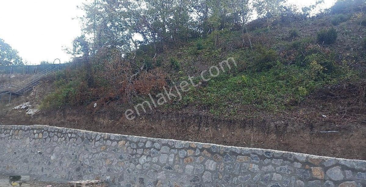 Göl Manzaralı 3 Dönüm İmarlı Arsa Mız Satılık... - Görsel 8