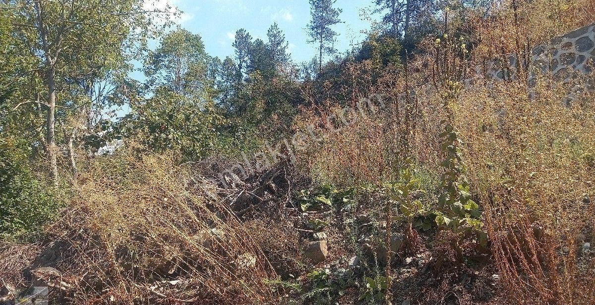 Göl Manzaralı 3 Dönüm İmarlı Arsa Mız Satılık... - Görsel 21