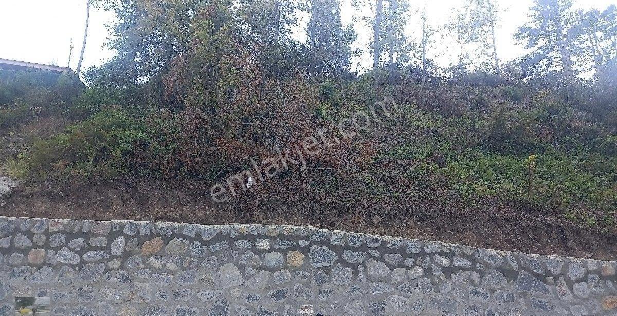 Göl Manzaralı 3 Dönüm İmarlı Arsa Mız Satılık... - Görsel 22