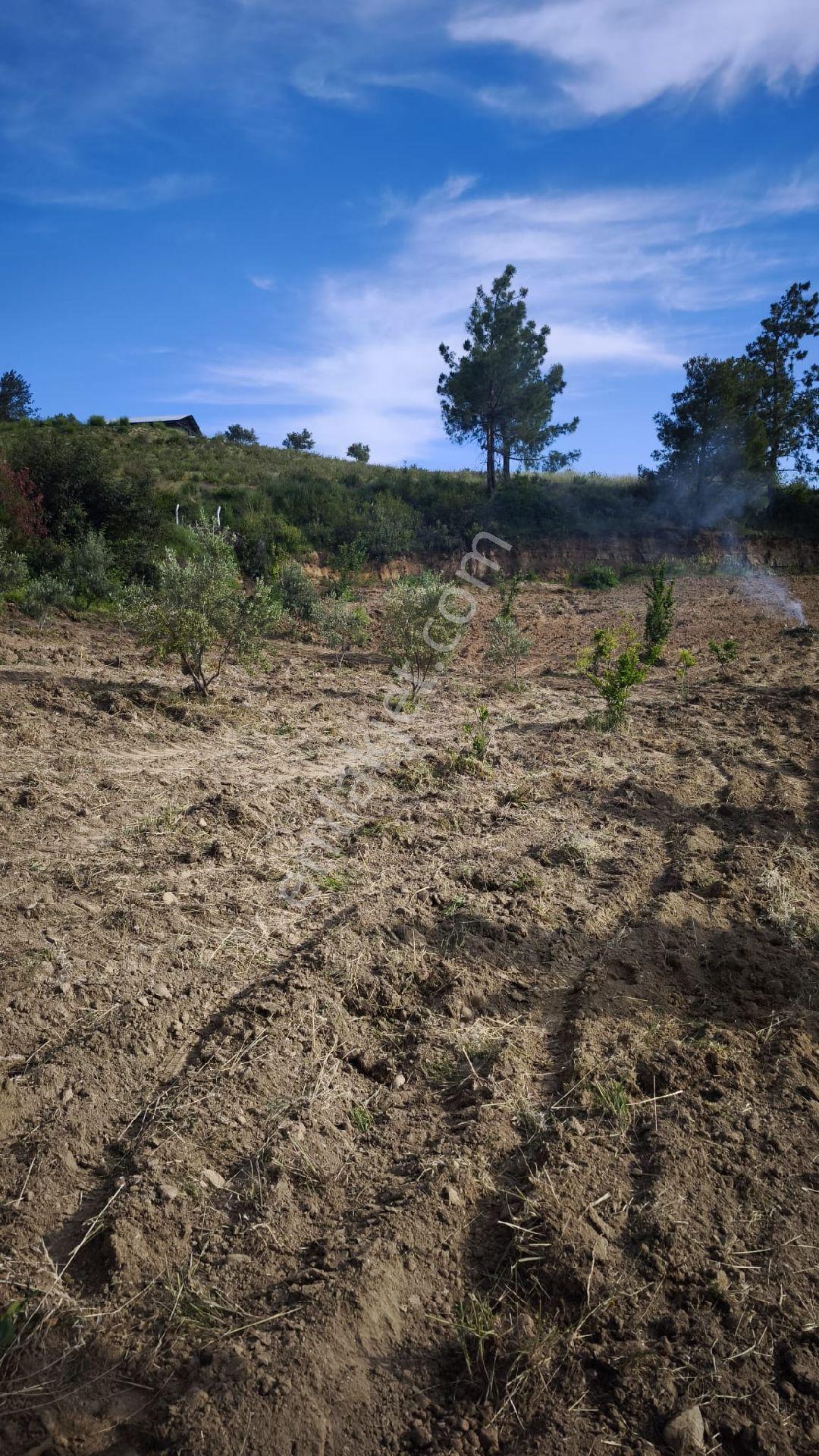 Ilıcada 2 Kat%50emsal Villa Arsası - Görsel 2
