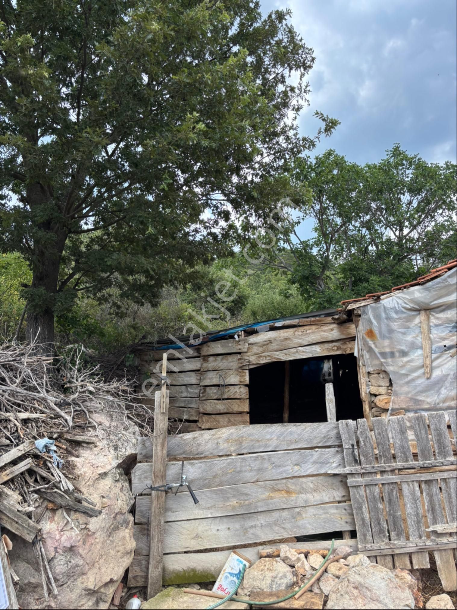 Bayramiç Aşağı Şapcıda Köyevi - Görsel 4