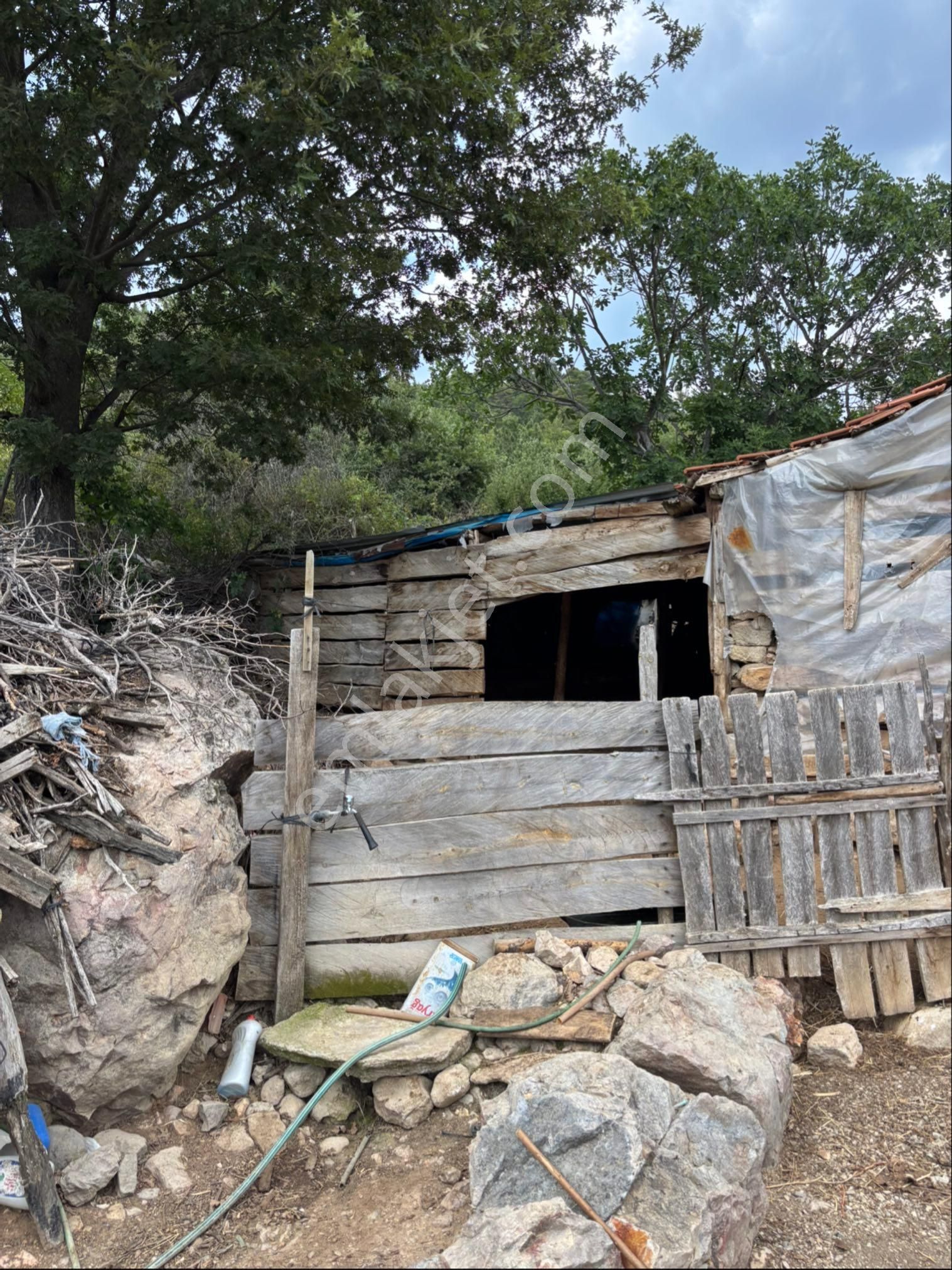 Bayramiç Aşağı Şapcıda Köyevi - Görsel 3