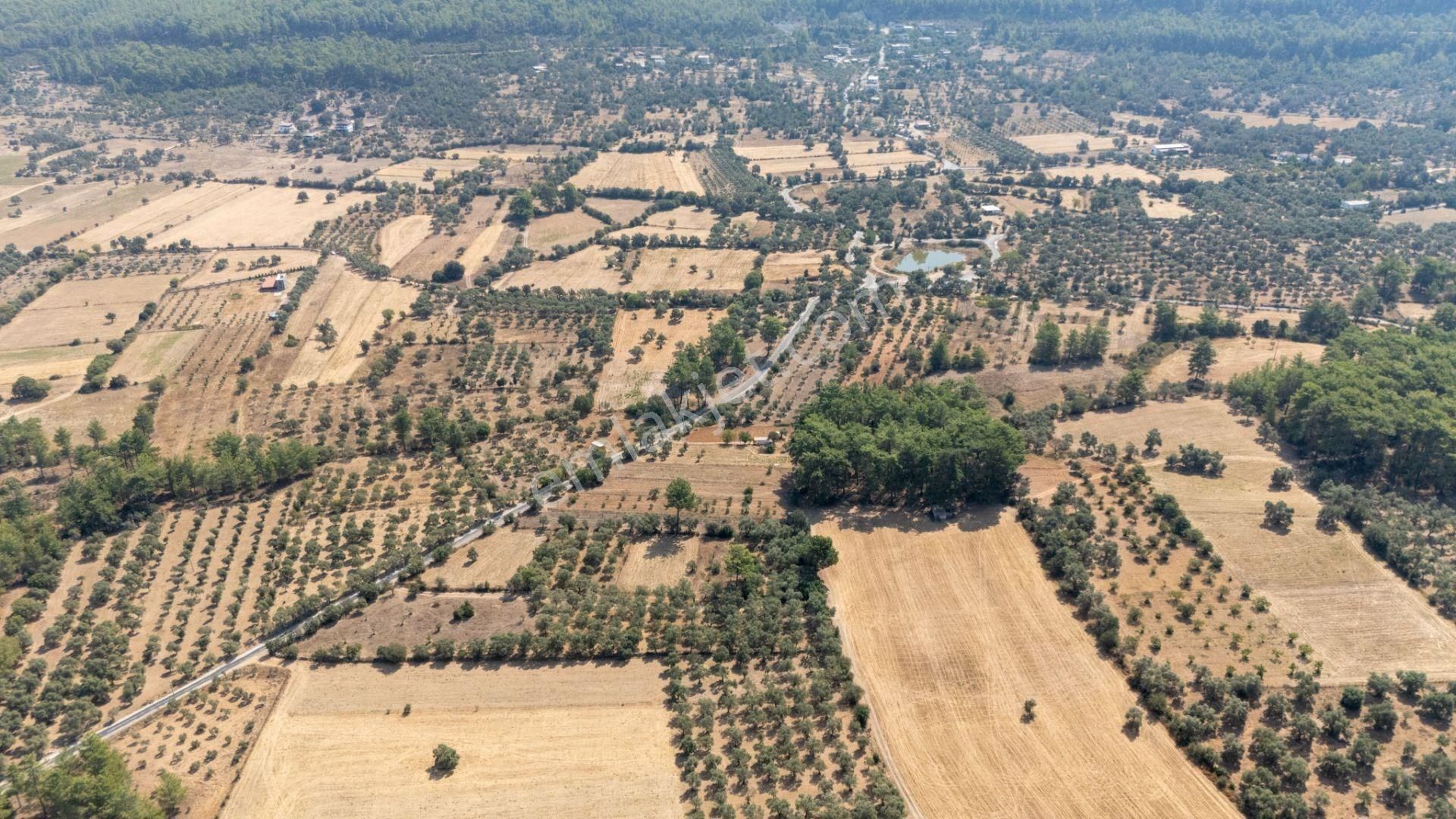 Cb Marina'dan Bodrum Etrim'de 7542 M2 Satılık Tarla - Görsel 28