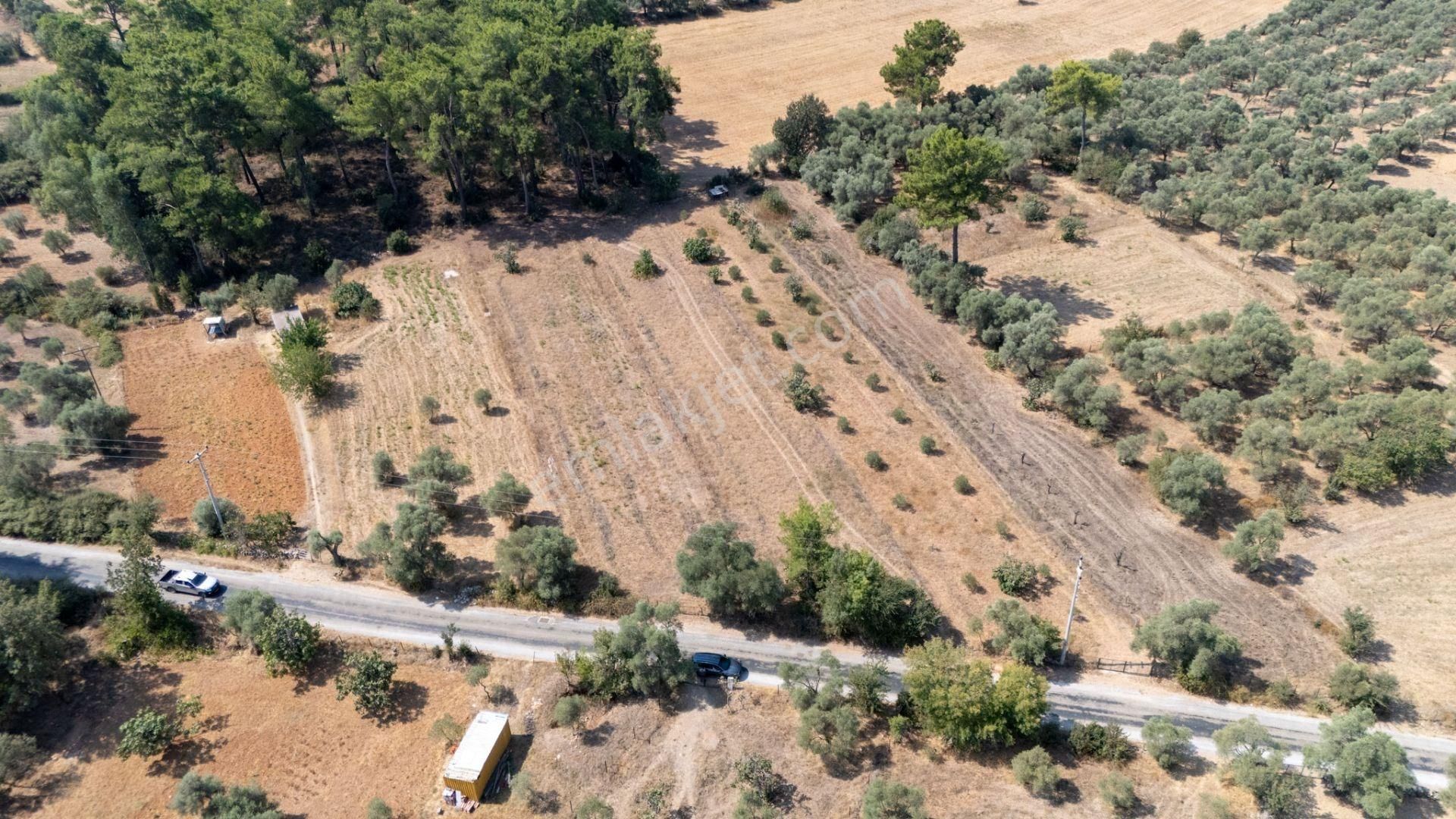 Cb Marina'dan Bodrum Etrim'de 7542 M2 Satılık Tarla - Görsel 13