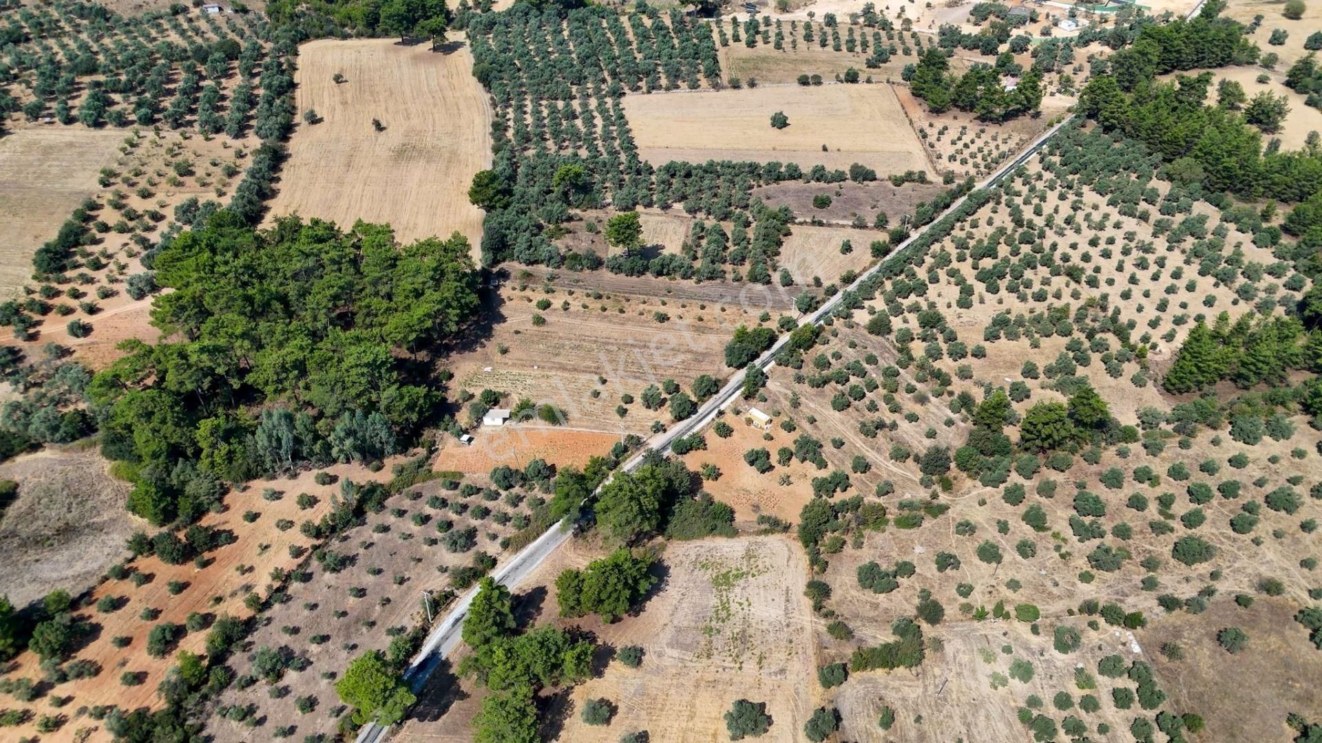 Cb Marina'dan Bodrum Etrim'de 7542 M2 Satılık Tarla - Görsel 17