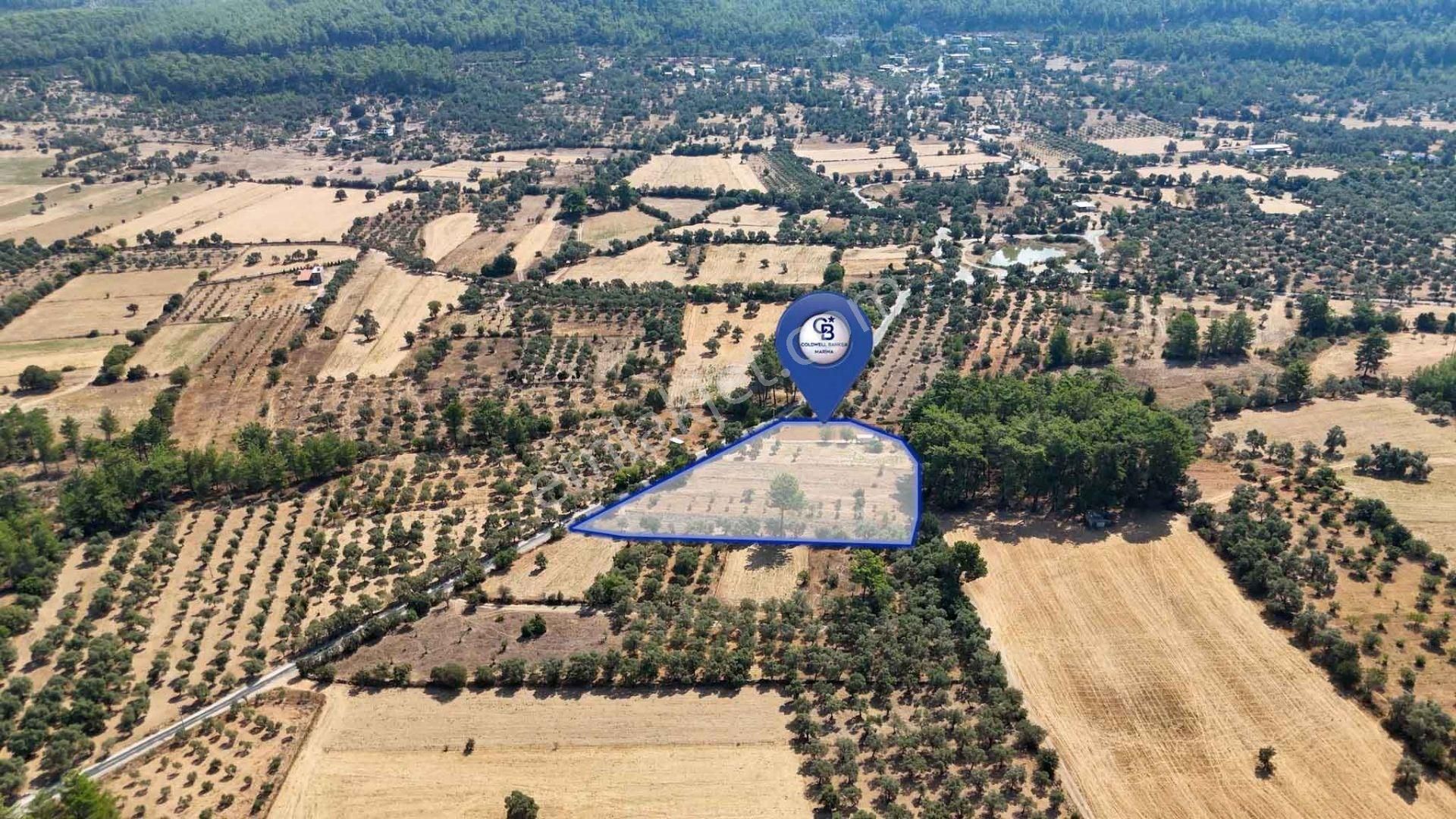 Cb Marina'dan Bodrum Etrim'de 7542 M2 Satılık Tarla