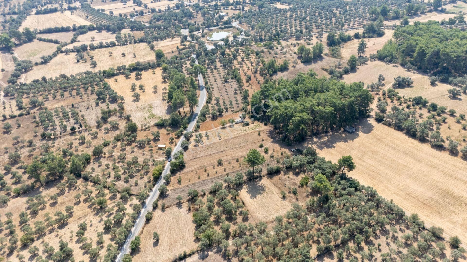 Cb Marina'dan Bodrum Etrim'de 7542 M2 Satılık Tarla - Görsel 30