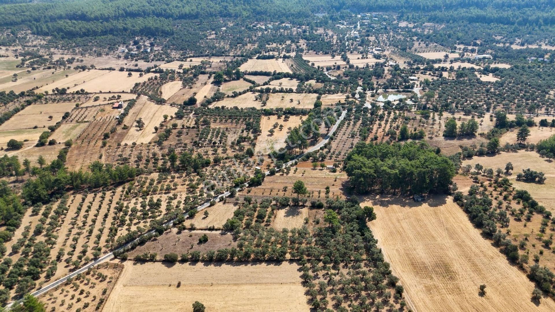 Cb Marina'dan Bodrum Etrim'de 7542 M2 Satılık Tarla - Görsel 15