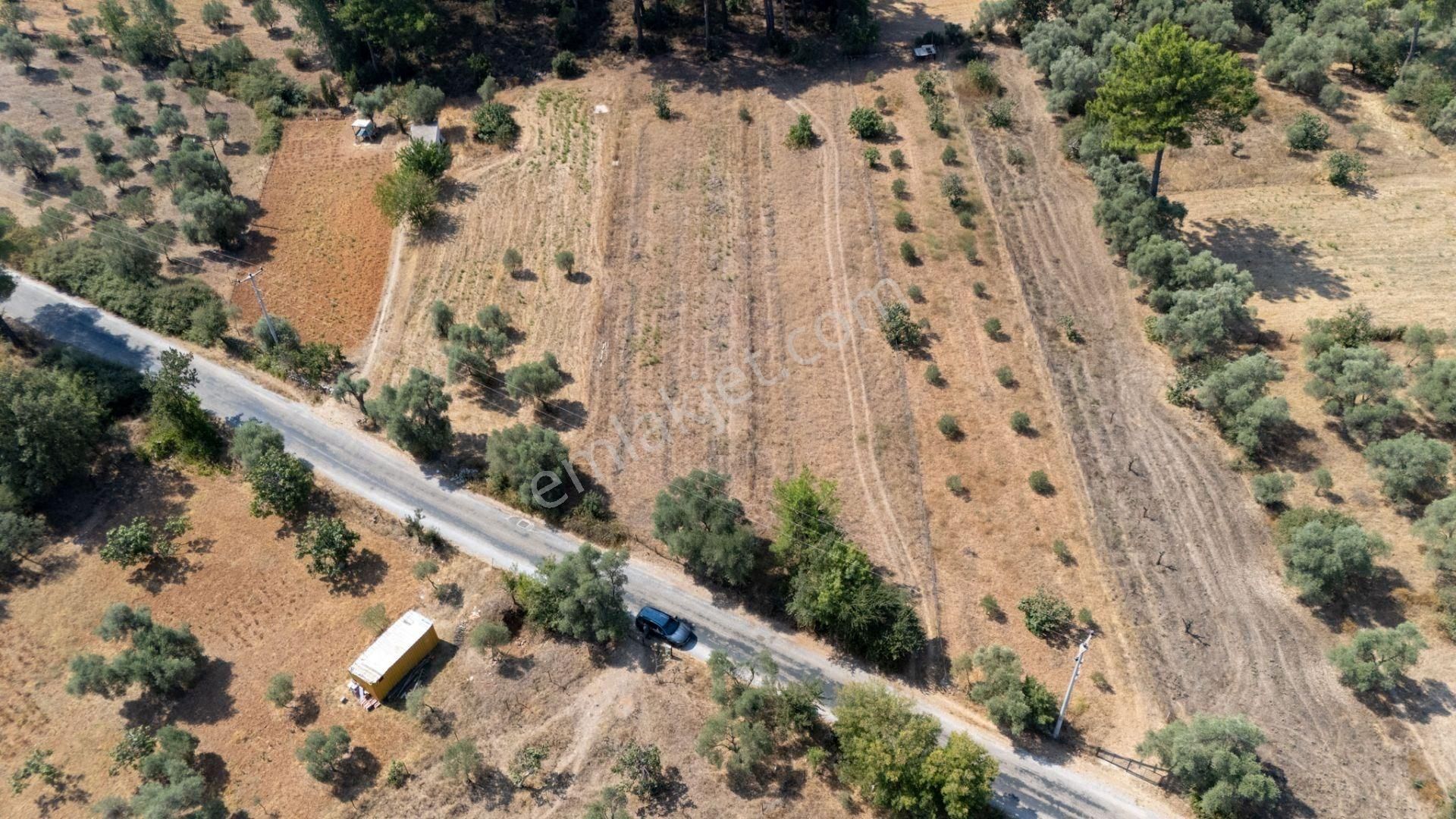 Cb Marina'dan Bodrum Etrim'de 7542 M2 Satılık Tarla - Görsel 34