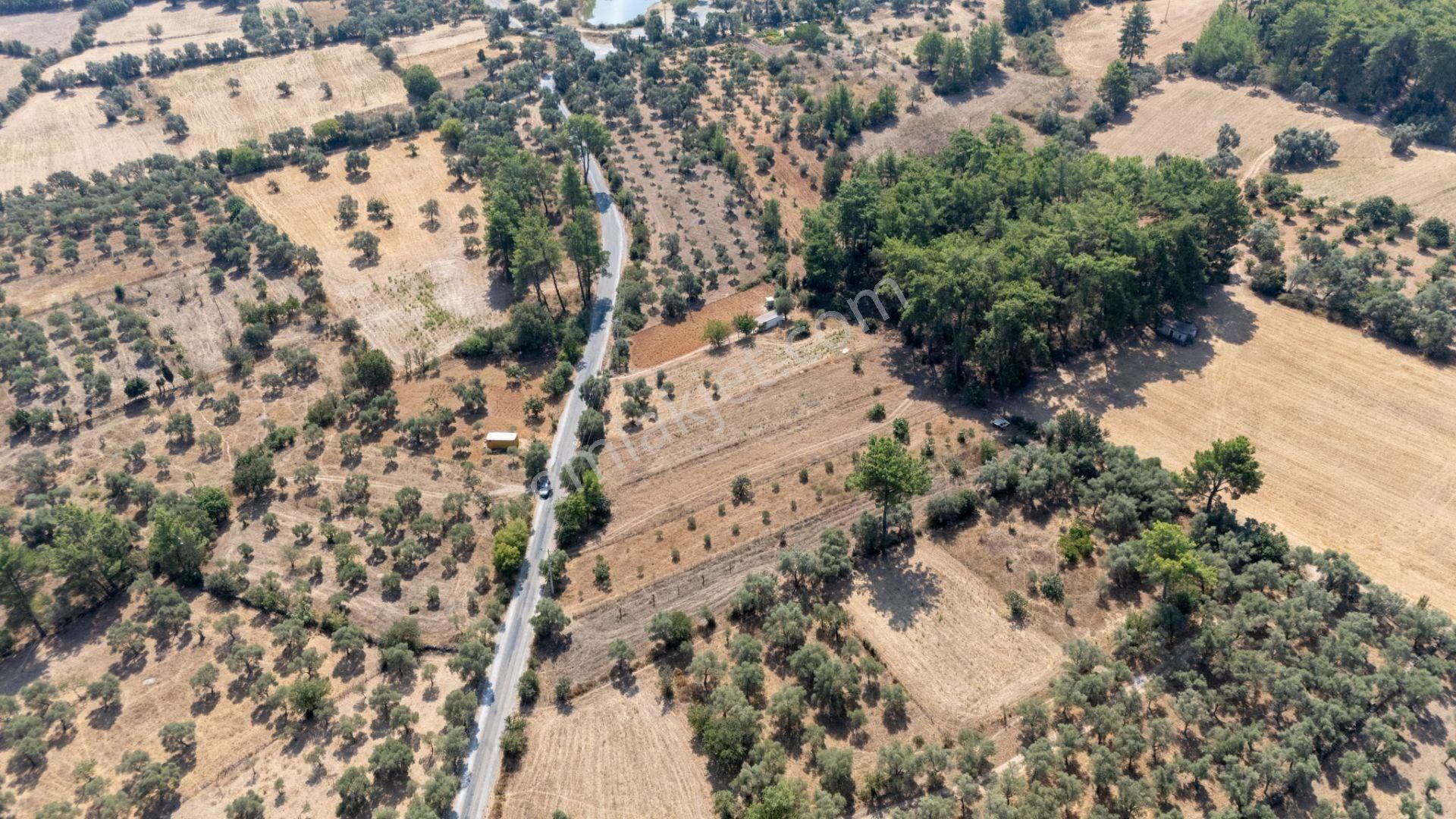 Cb Marina'dan Bodrum Etrim'de 7542 M2 Satılık Tarla - Görsel 31
