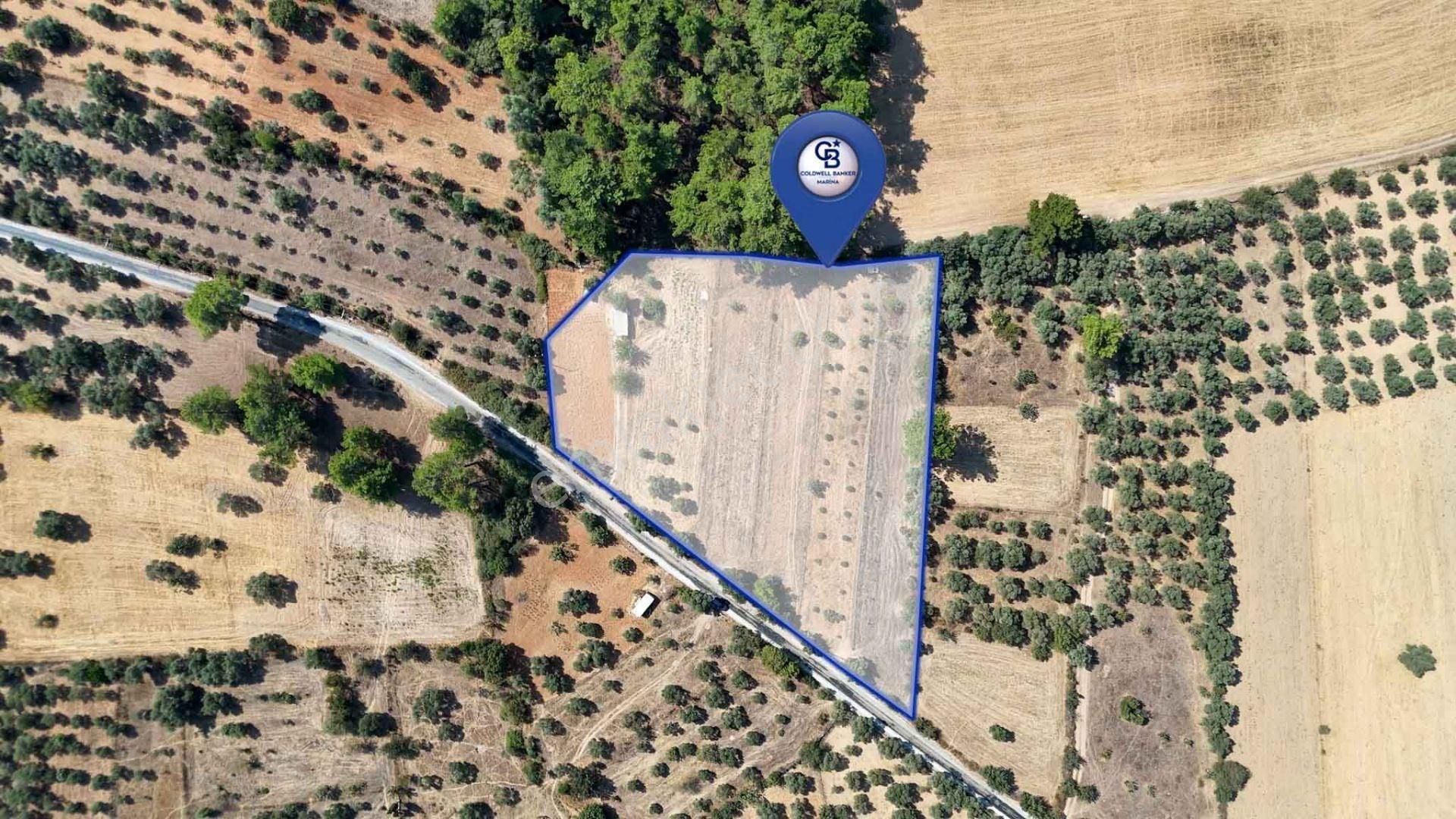 Cb Marina'dan Bodrum Etrim'de 7542 M2 Satılık Tarla - Görsel 7