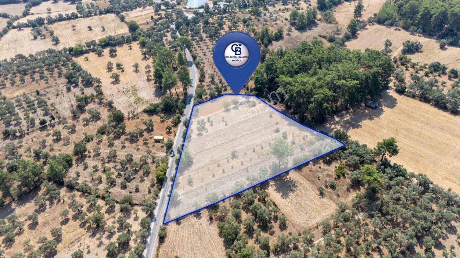 Cb Marina'dan Bodrum Etrim'de 7542 M2 Satılık Tarla - Görsel 10