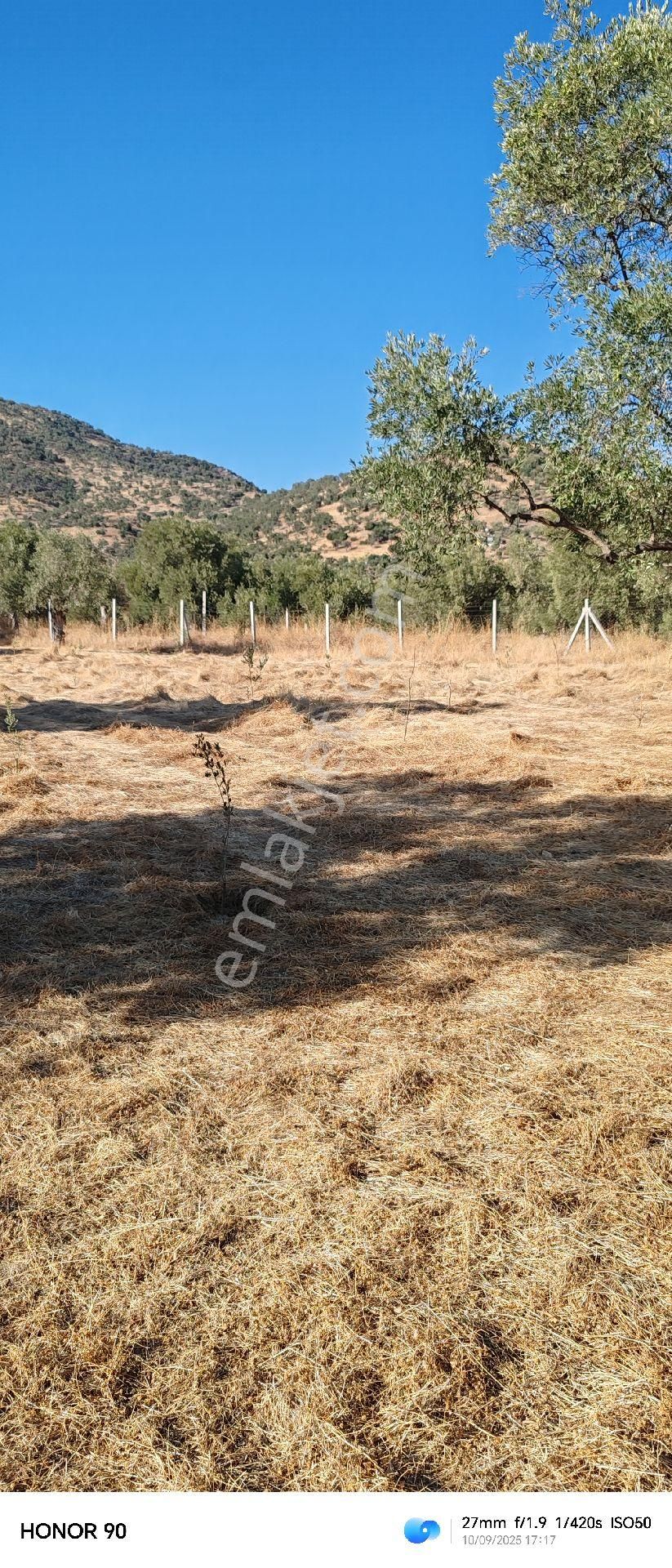 İzmir Bayındır Turan Mahallesinde 101 M² Zeytinlik Satılıktır - Görsel 9